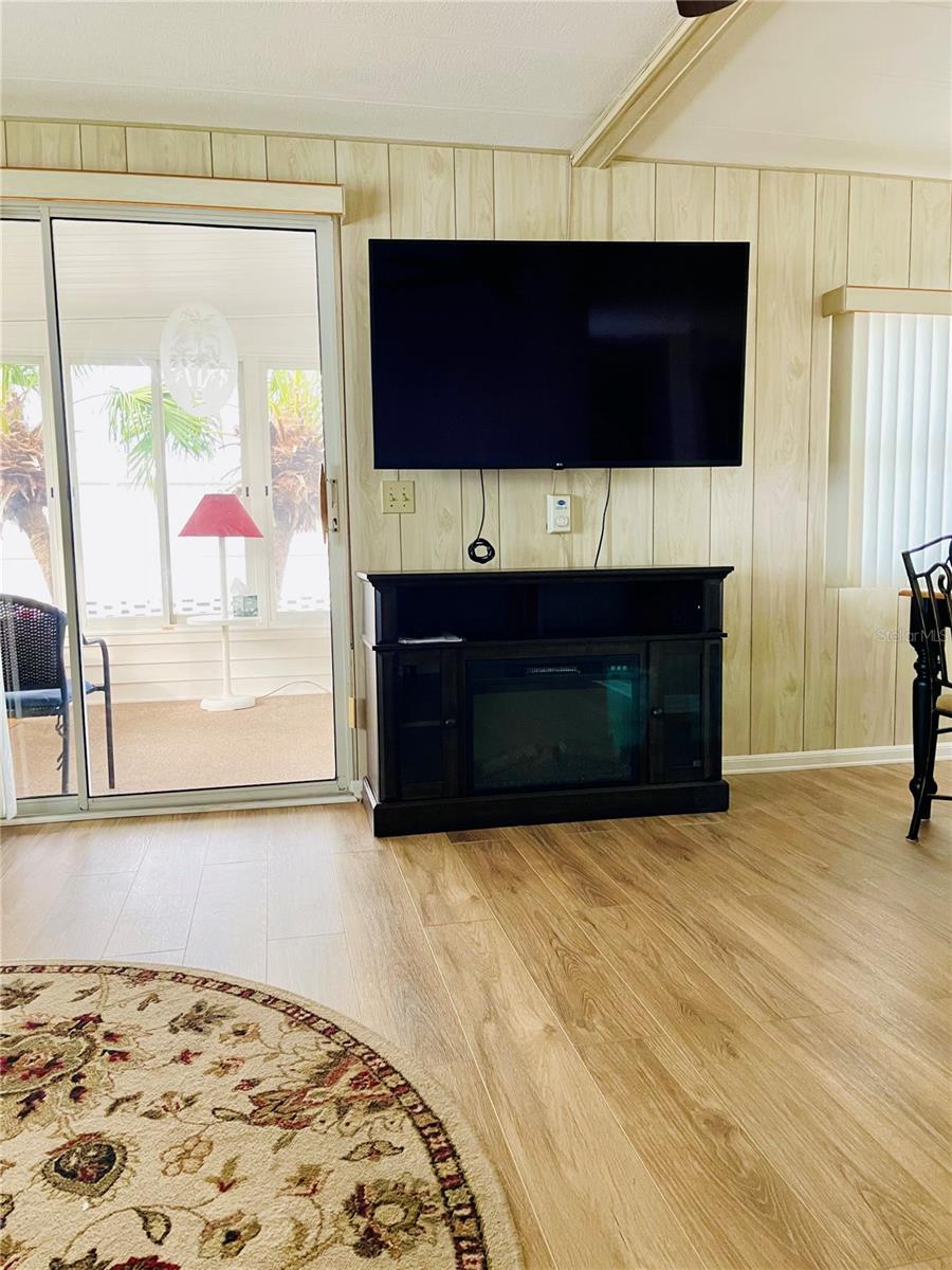 Large TV and Fireplace