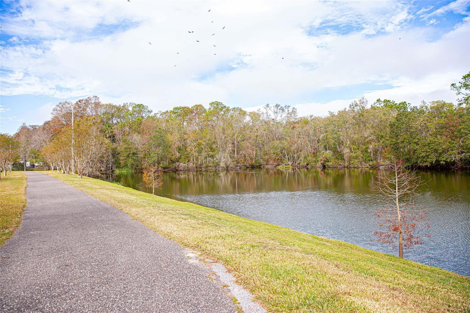 nature trail near home