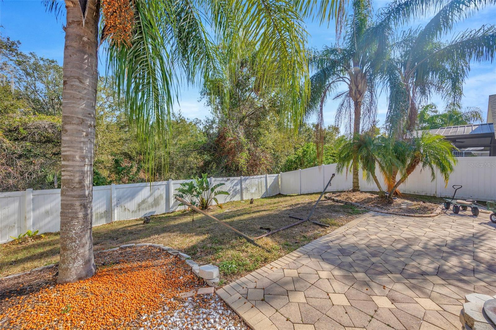 Patio area & back yard