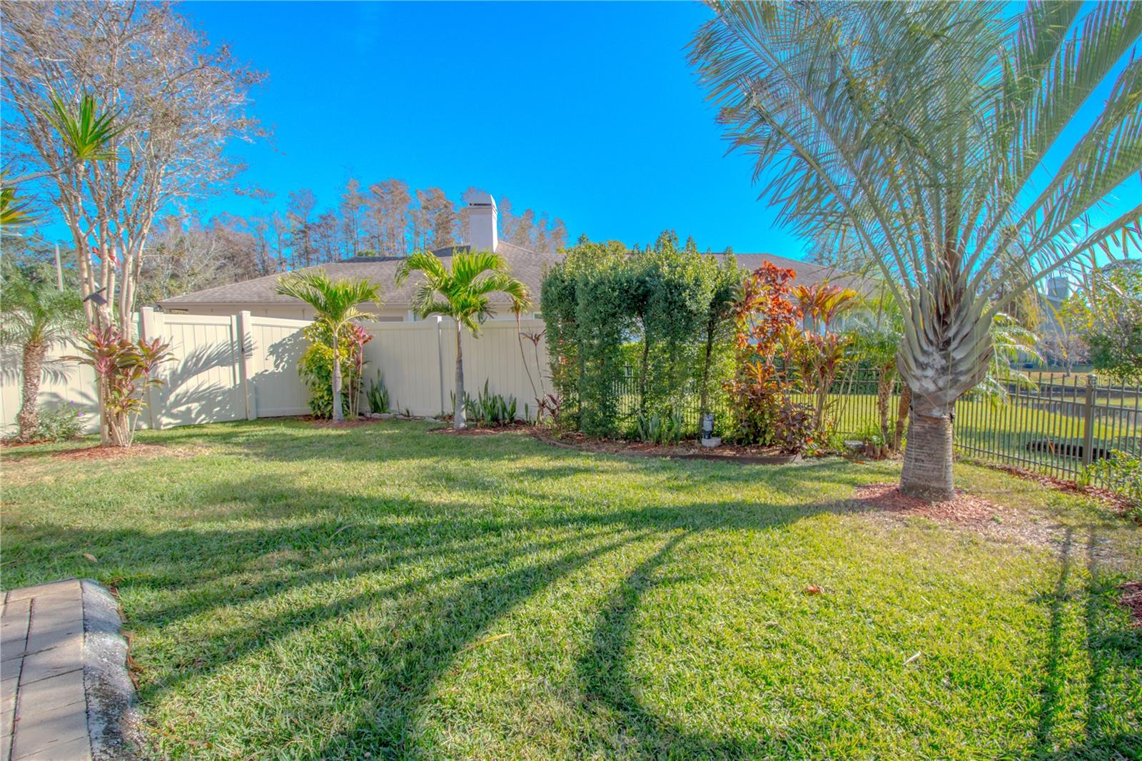 Well manicured yard with tropical palms.