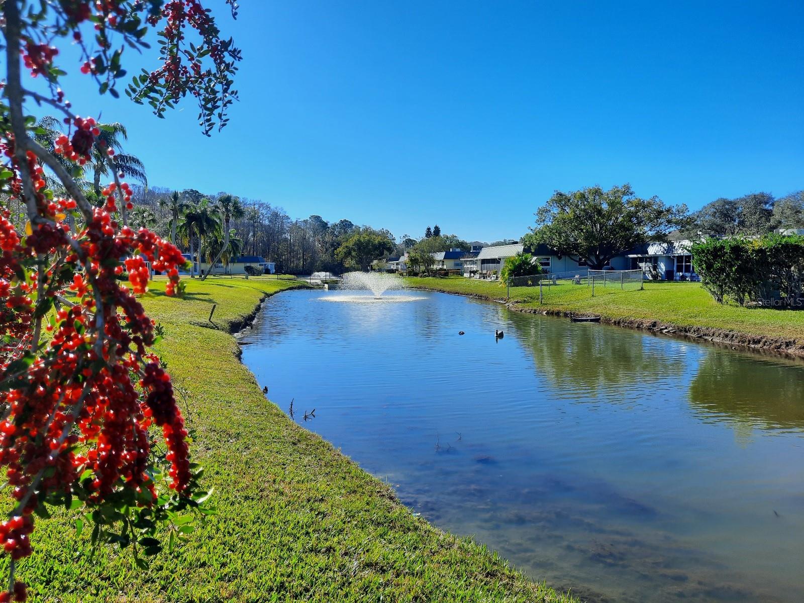 One of Several Ponds/Water Views