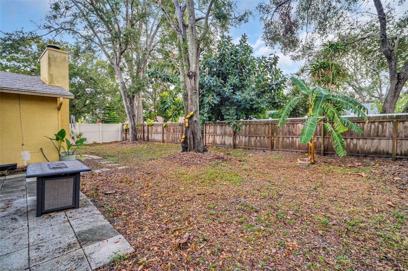 Back Yard w/ Fire Pit