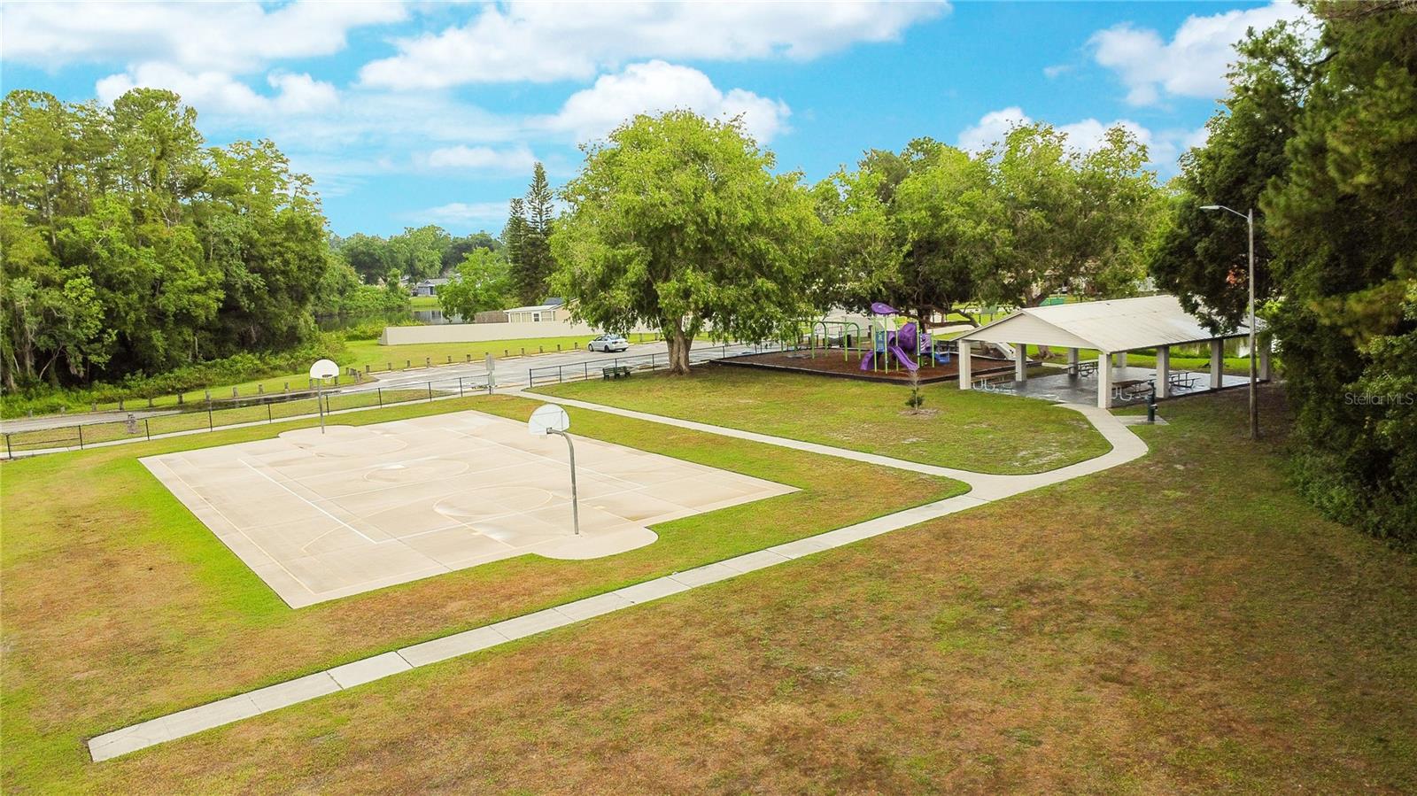 Carrollwood Meadows Park - Courts