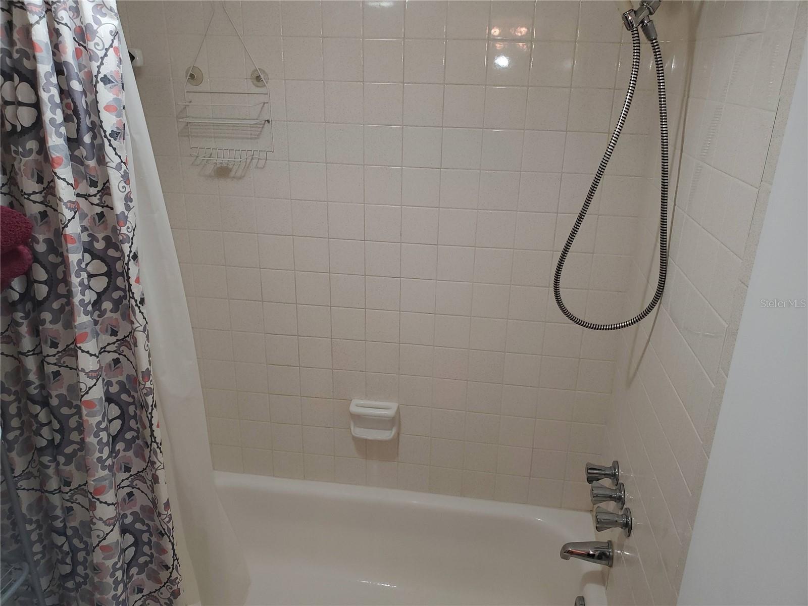 Primary tub and shower