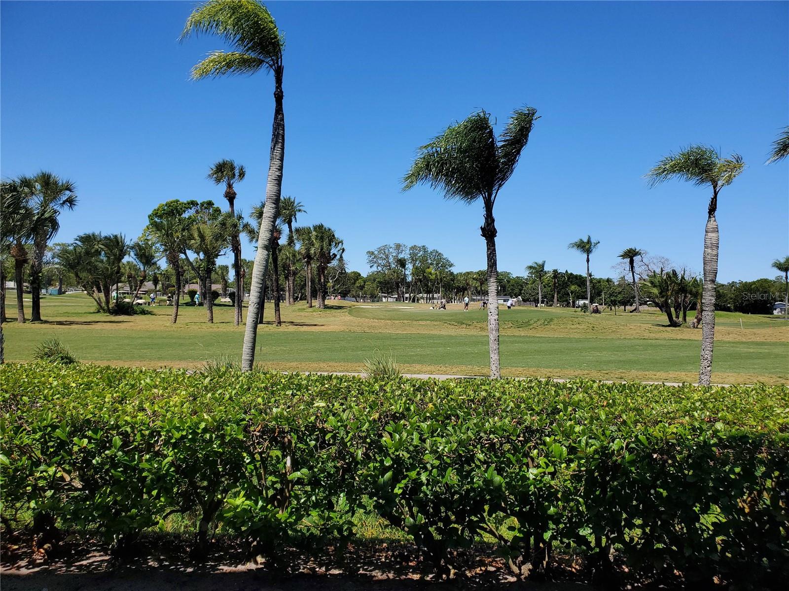 Golf Course view from patio