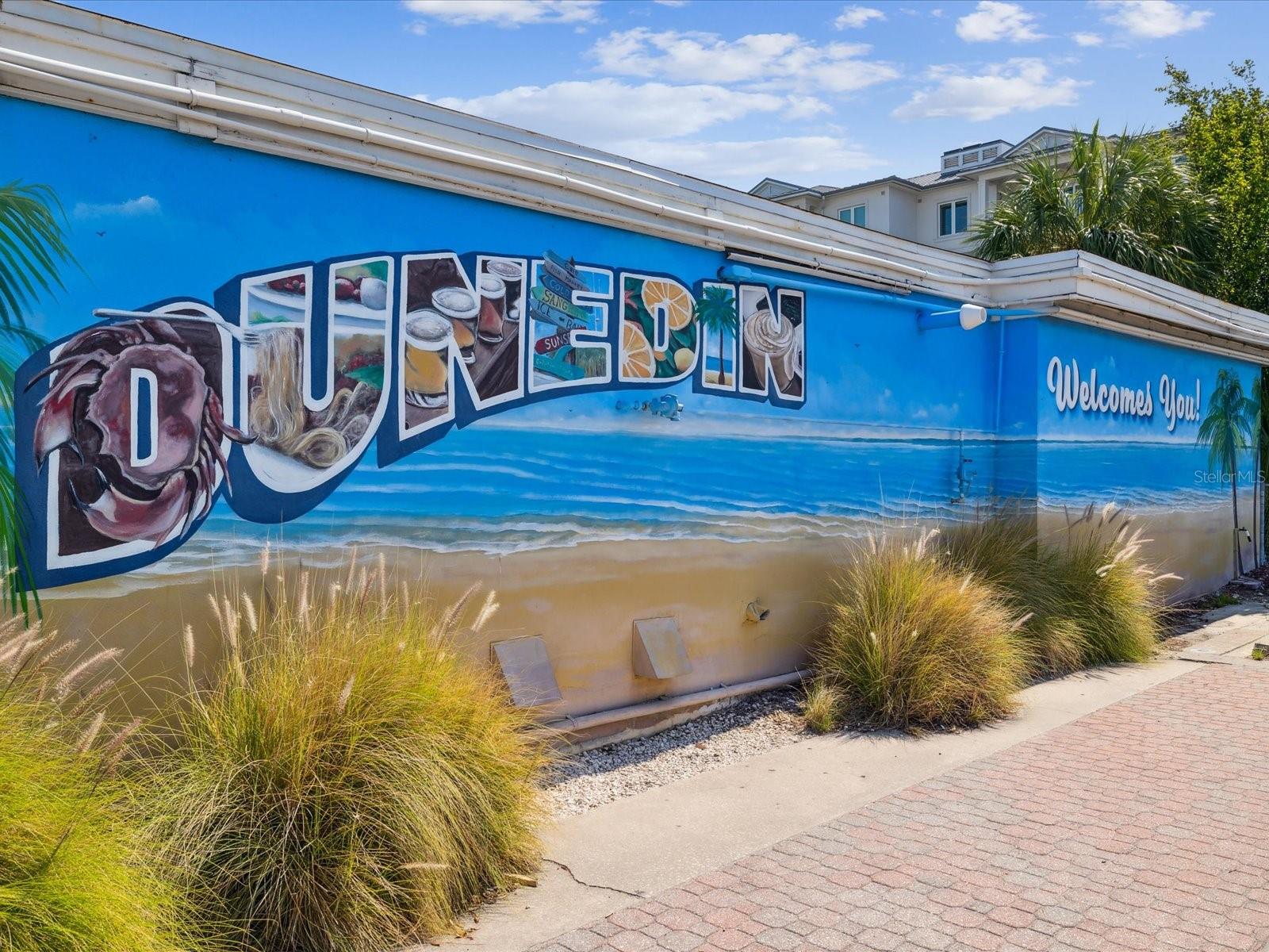 Make Dunedin you Home!!!