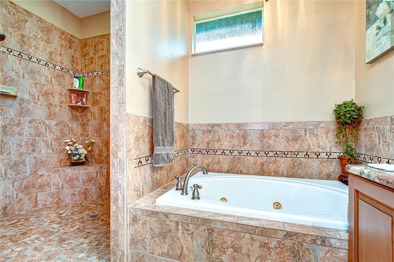 master tub and shower