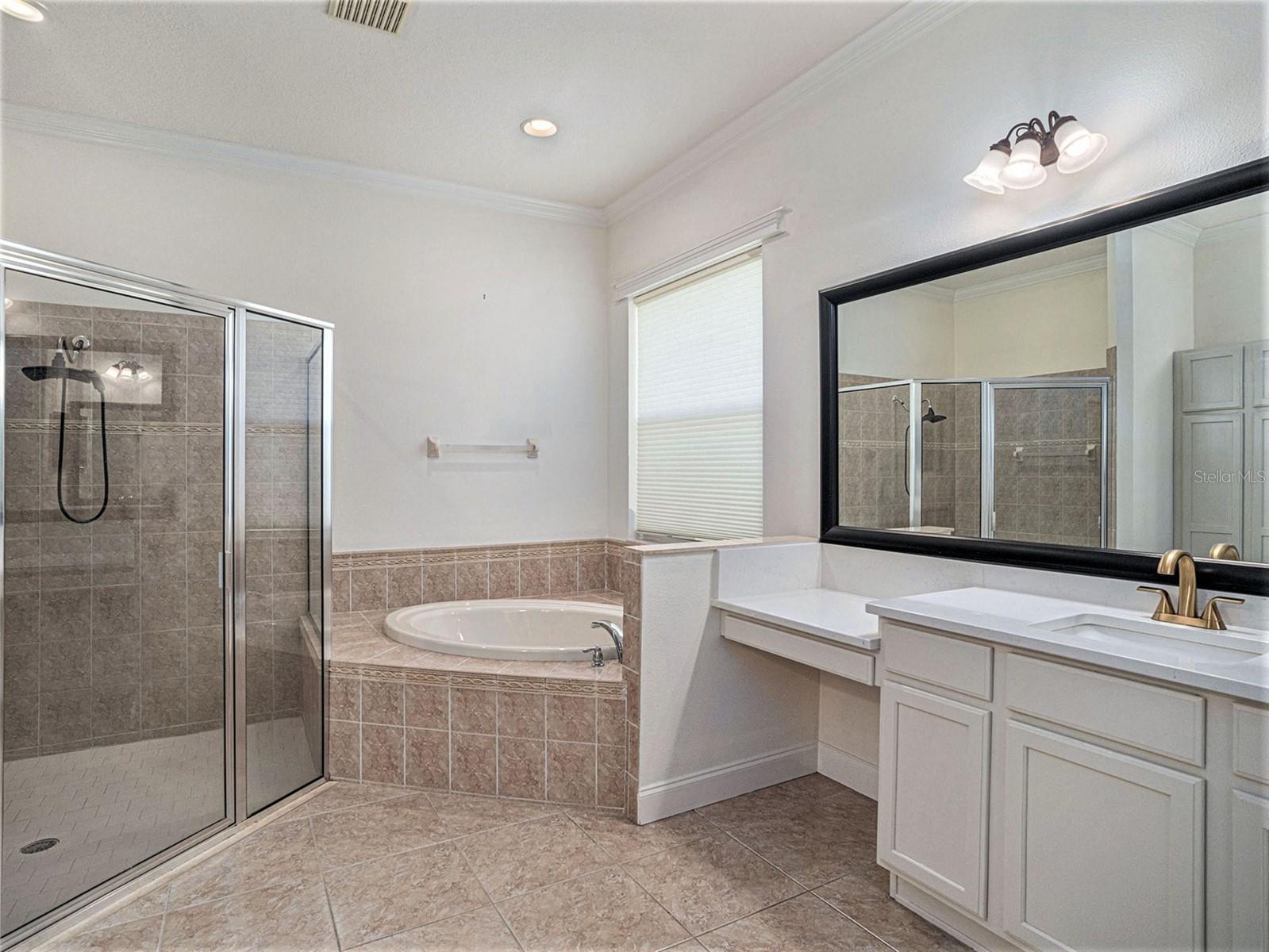 Master Bathroom with shower and separate tub