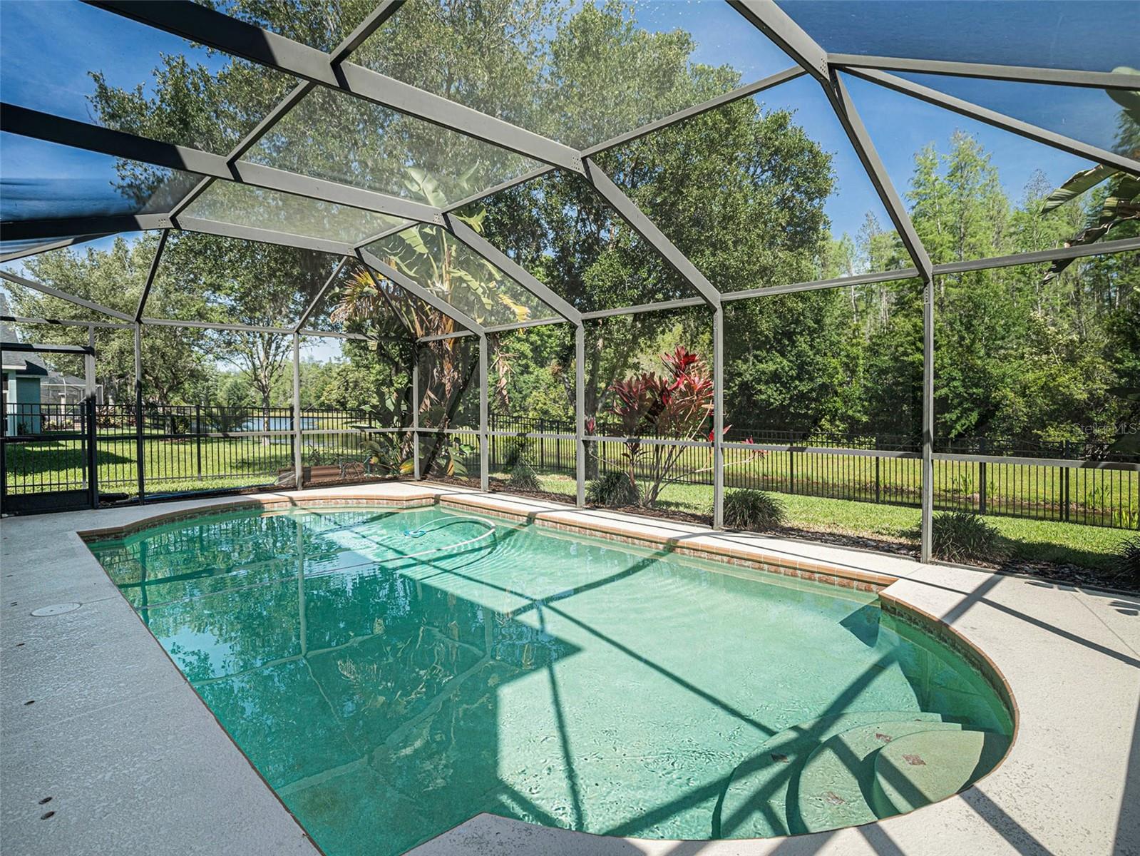 Screen enclosed Pool