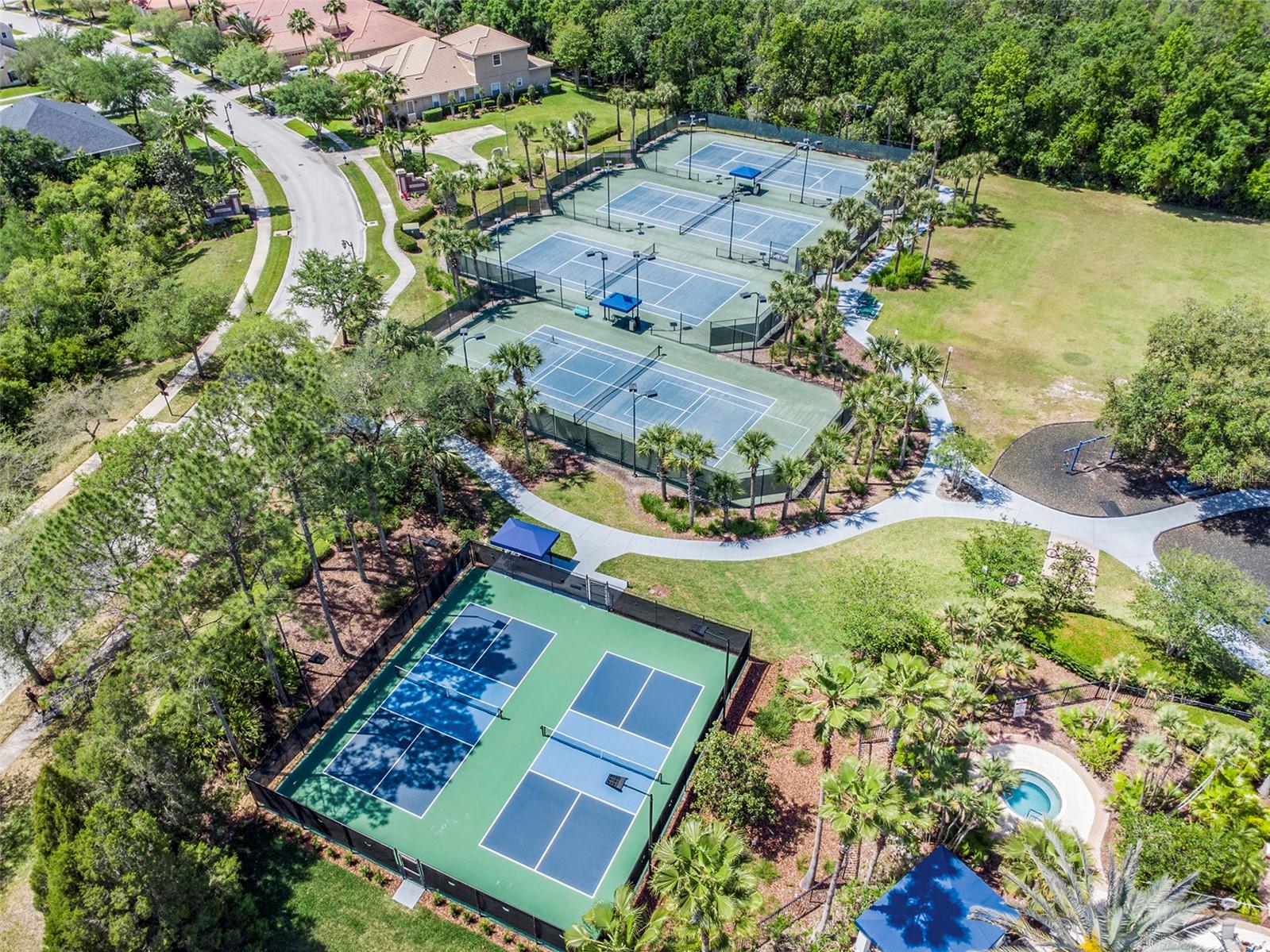 Aerial view of Community Amenities