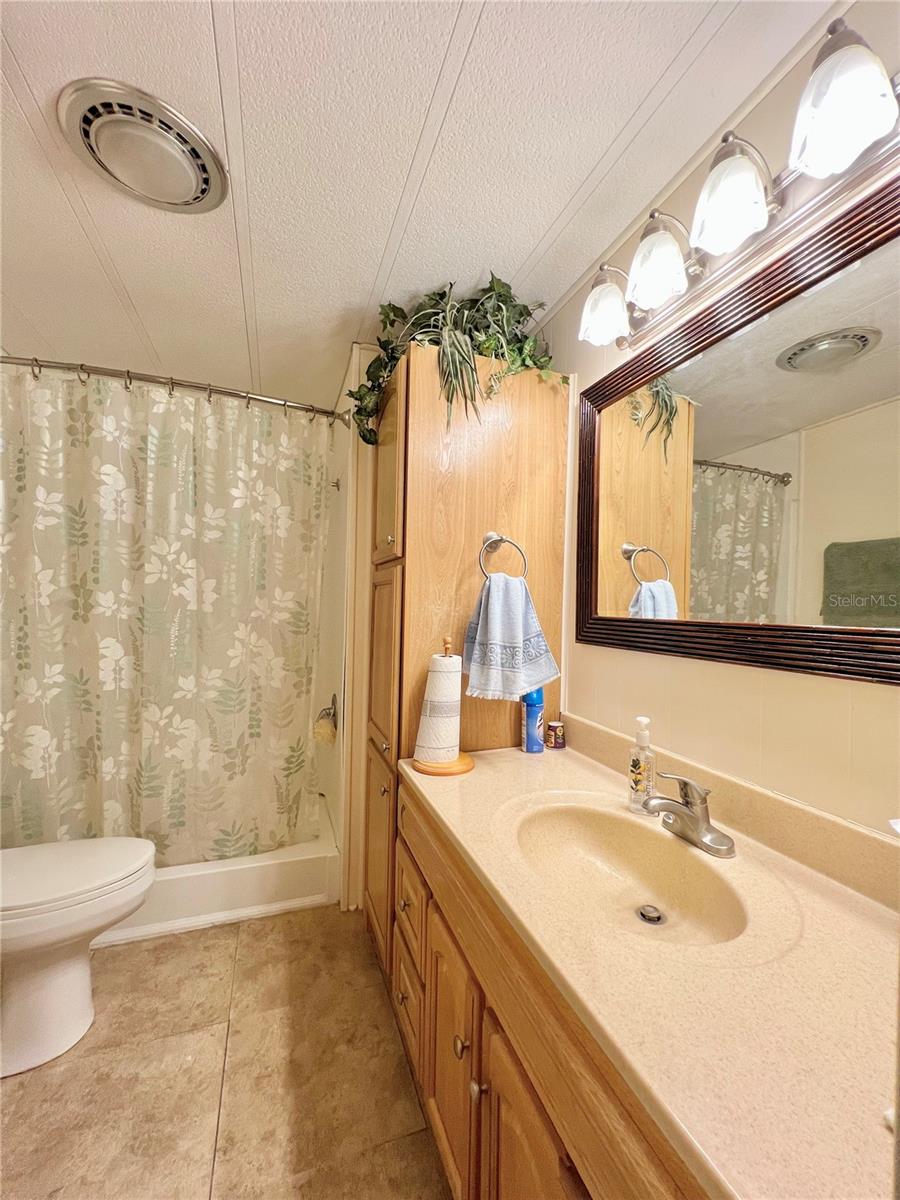 Hallway Bathroom