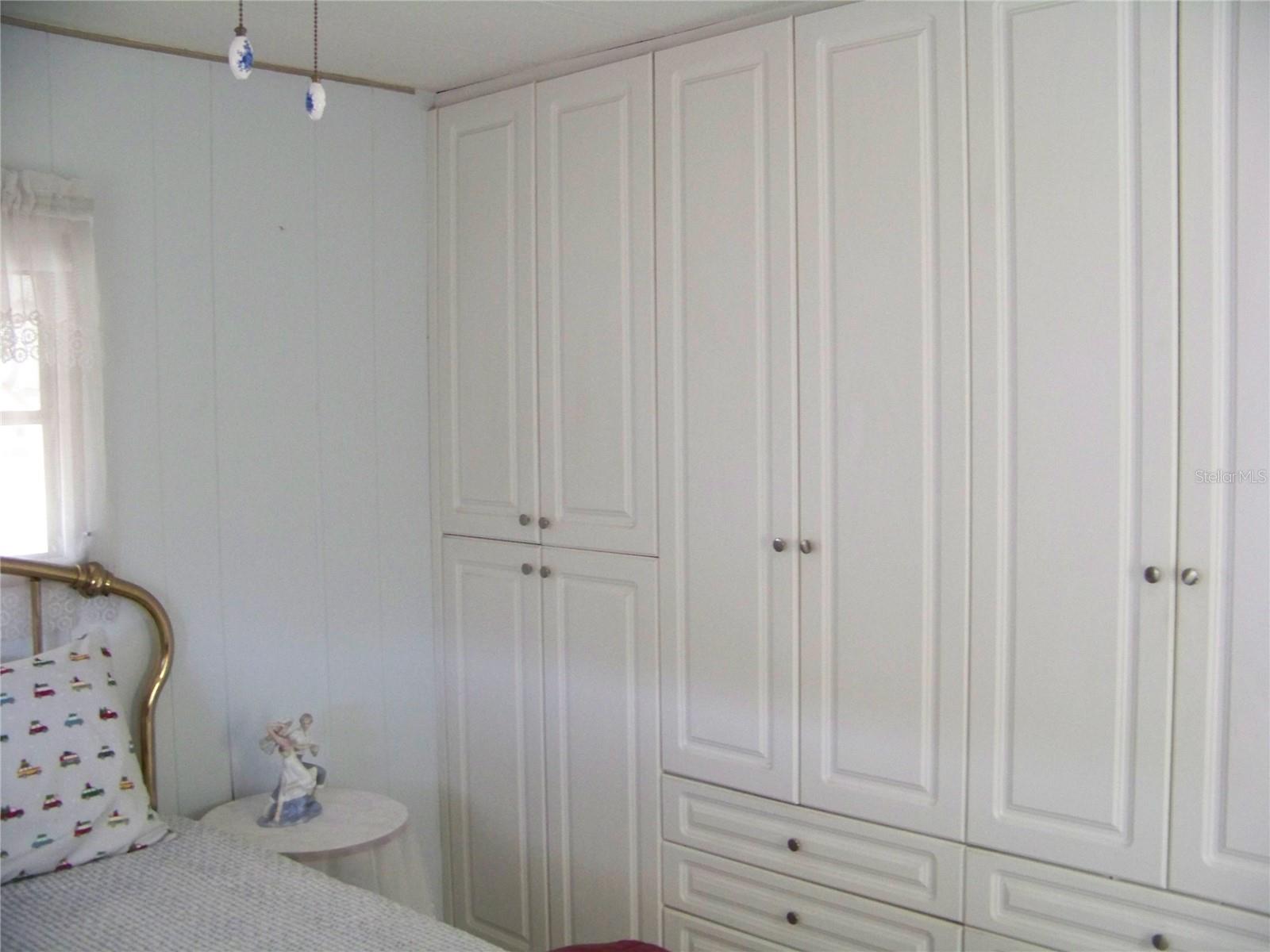 Custom built-in cabinets