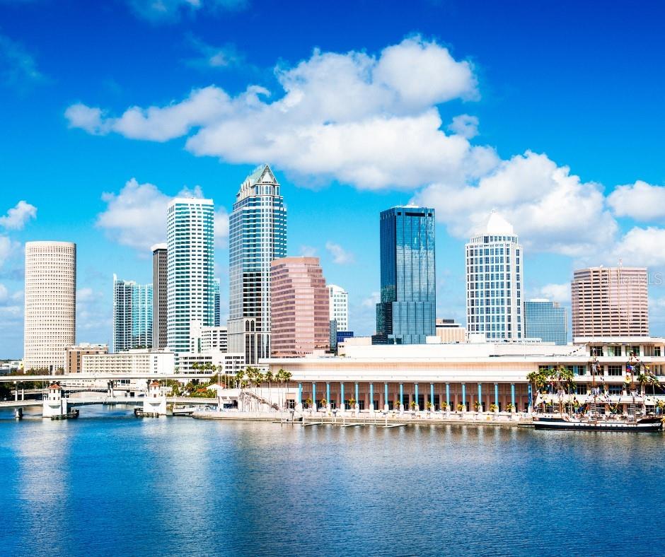 Tampa Skyline