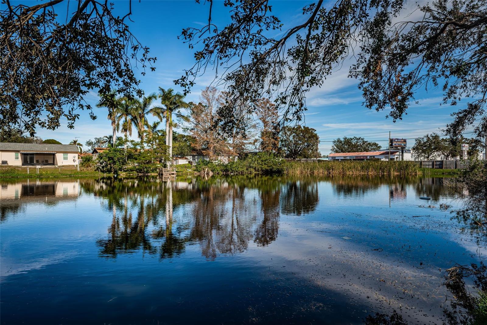 Beautiful Pond in Back