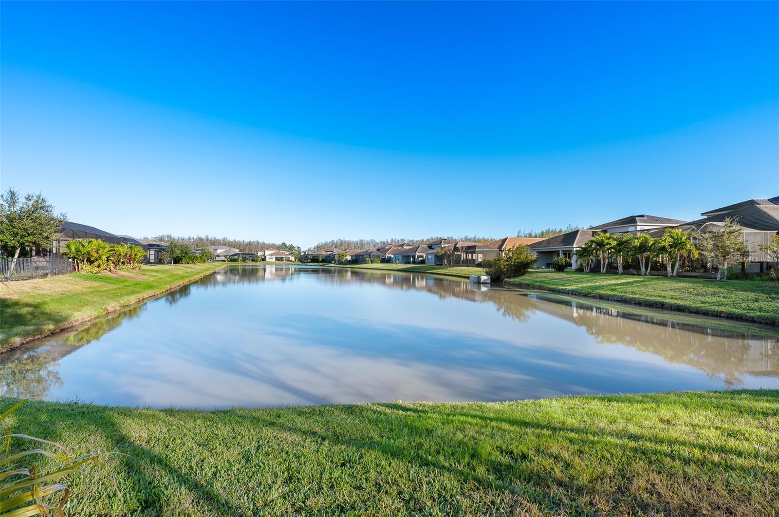 pond view