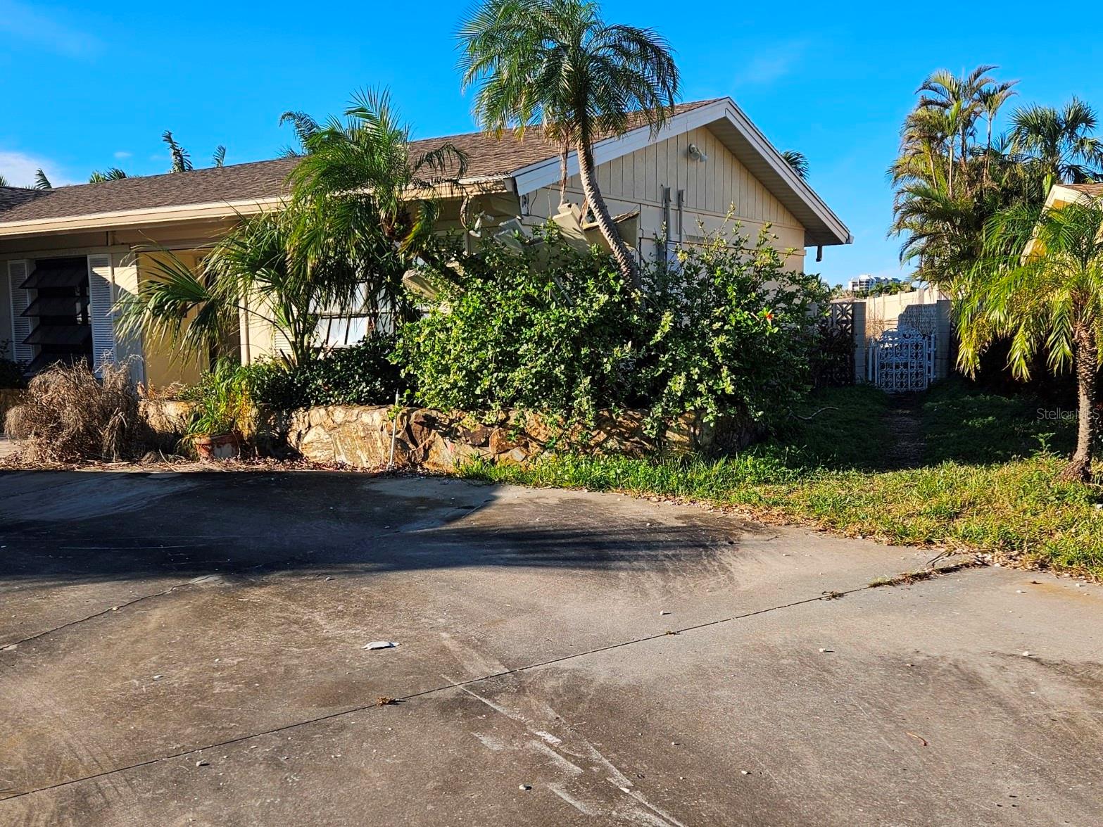 North Driveway Before Cleanup