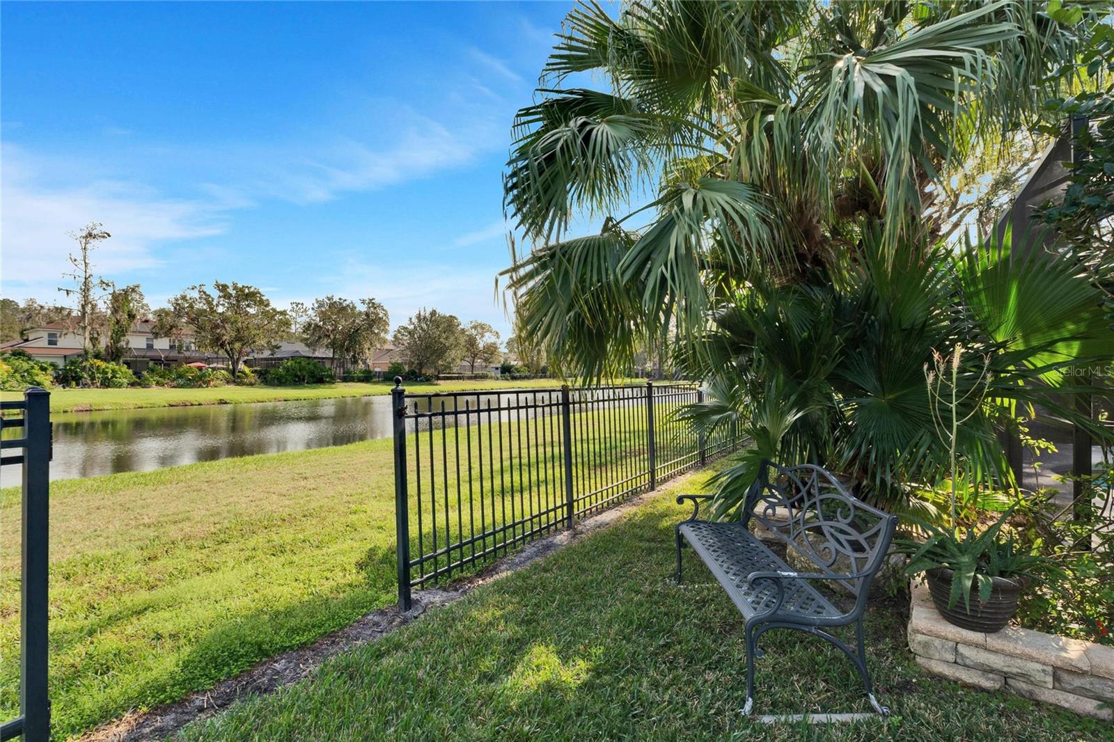 Pond View