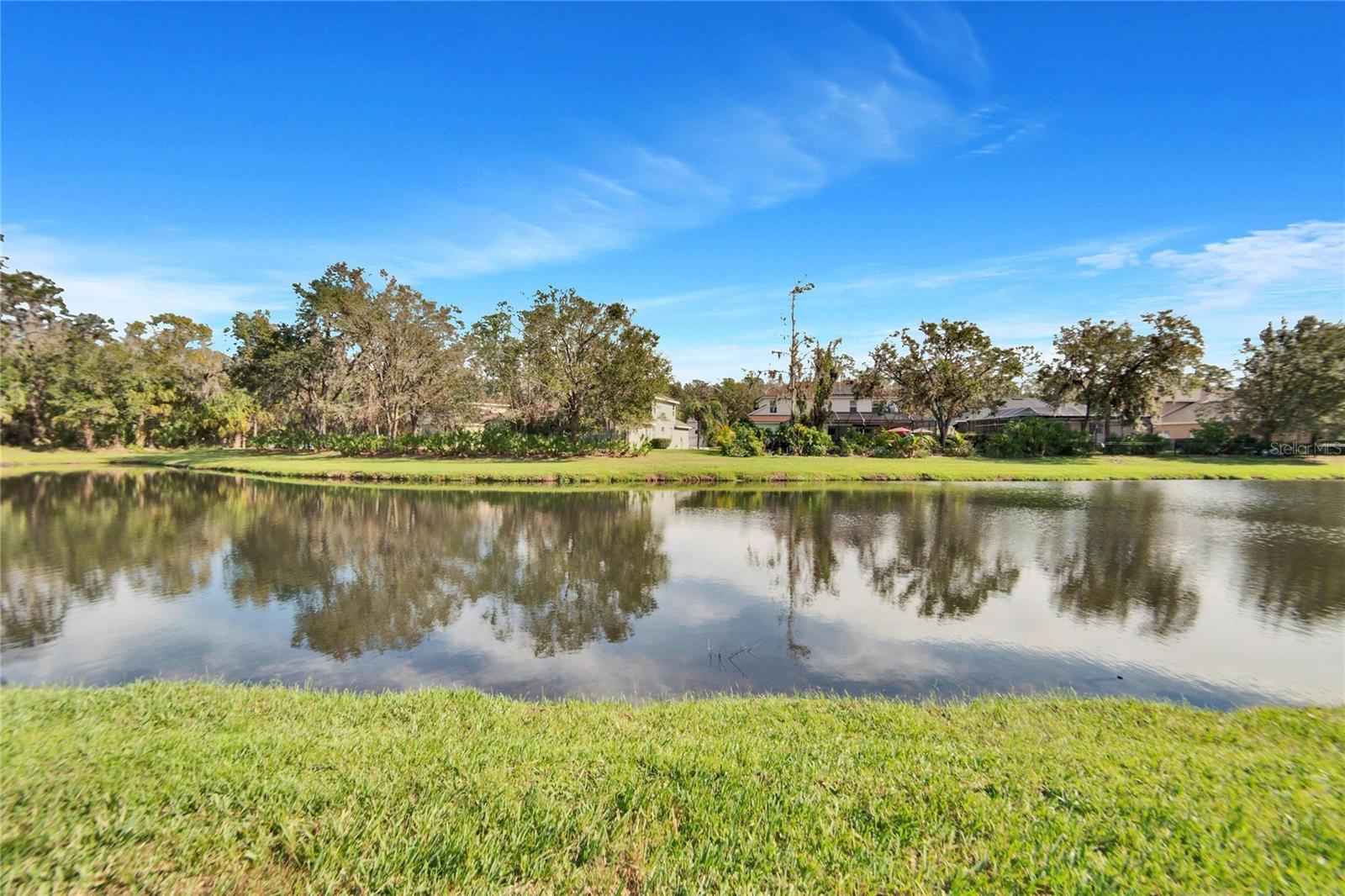 Pond View