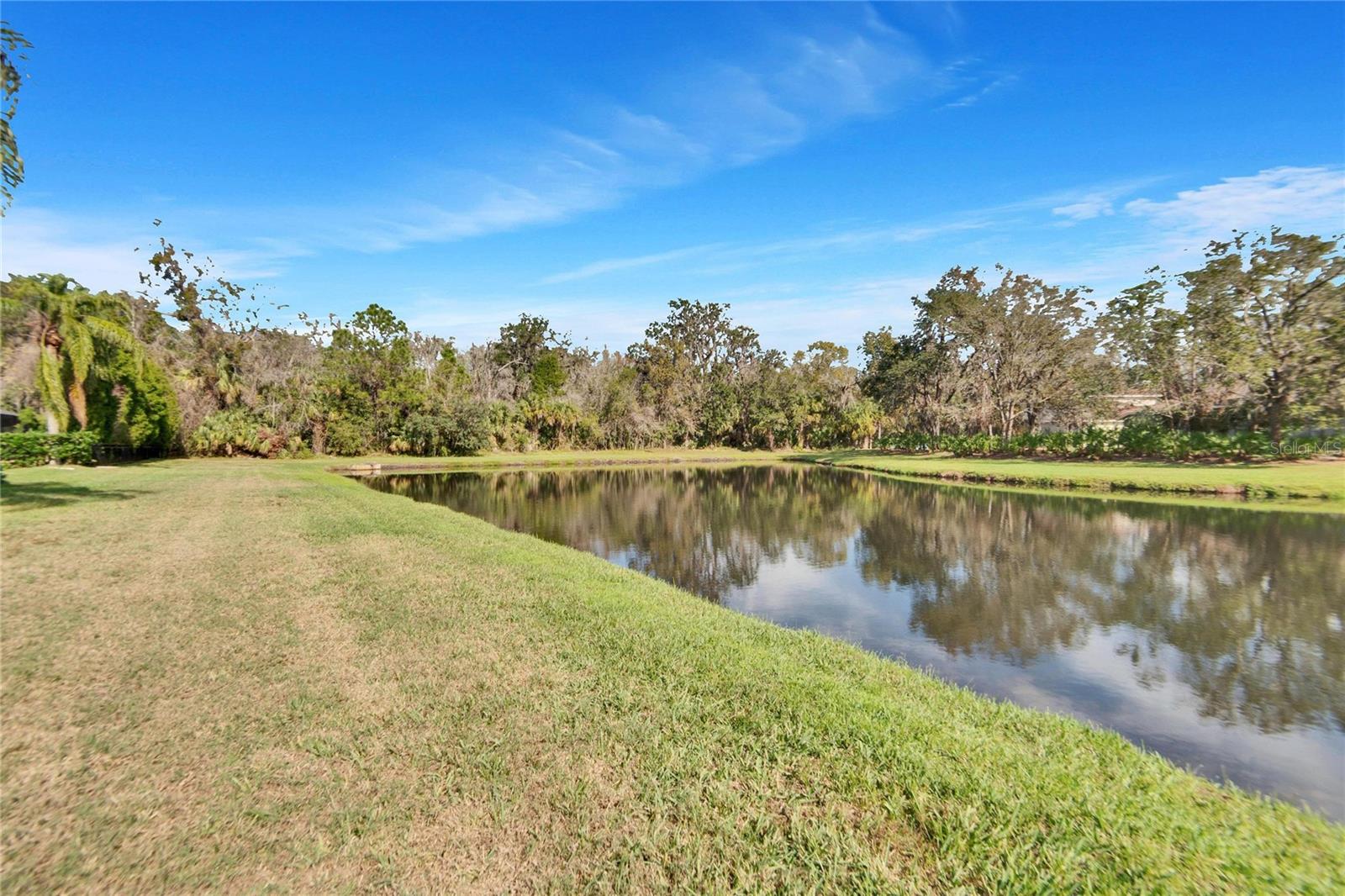 Pond View