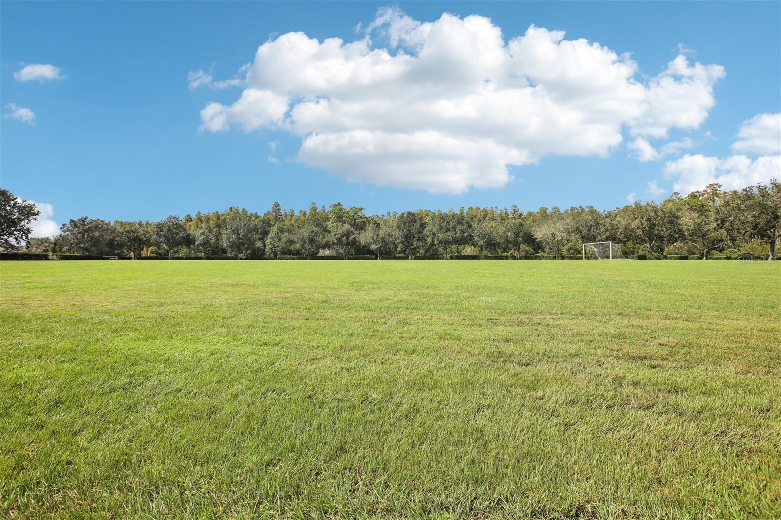 Open Soccer Field