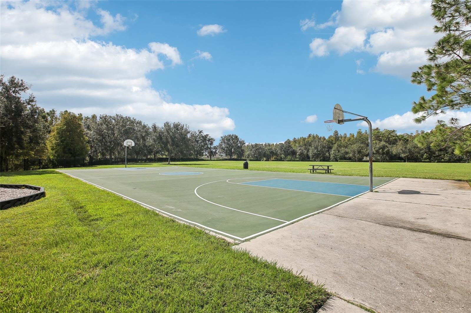 Basketball Court