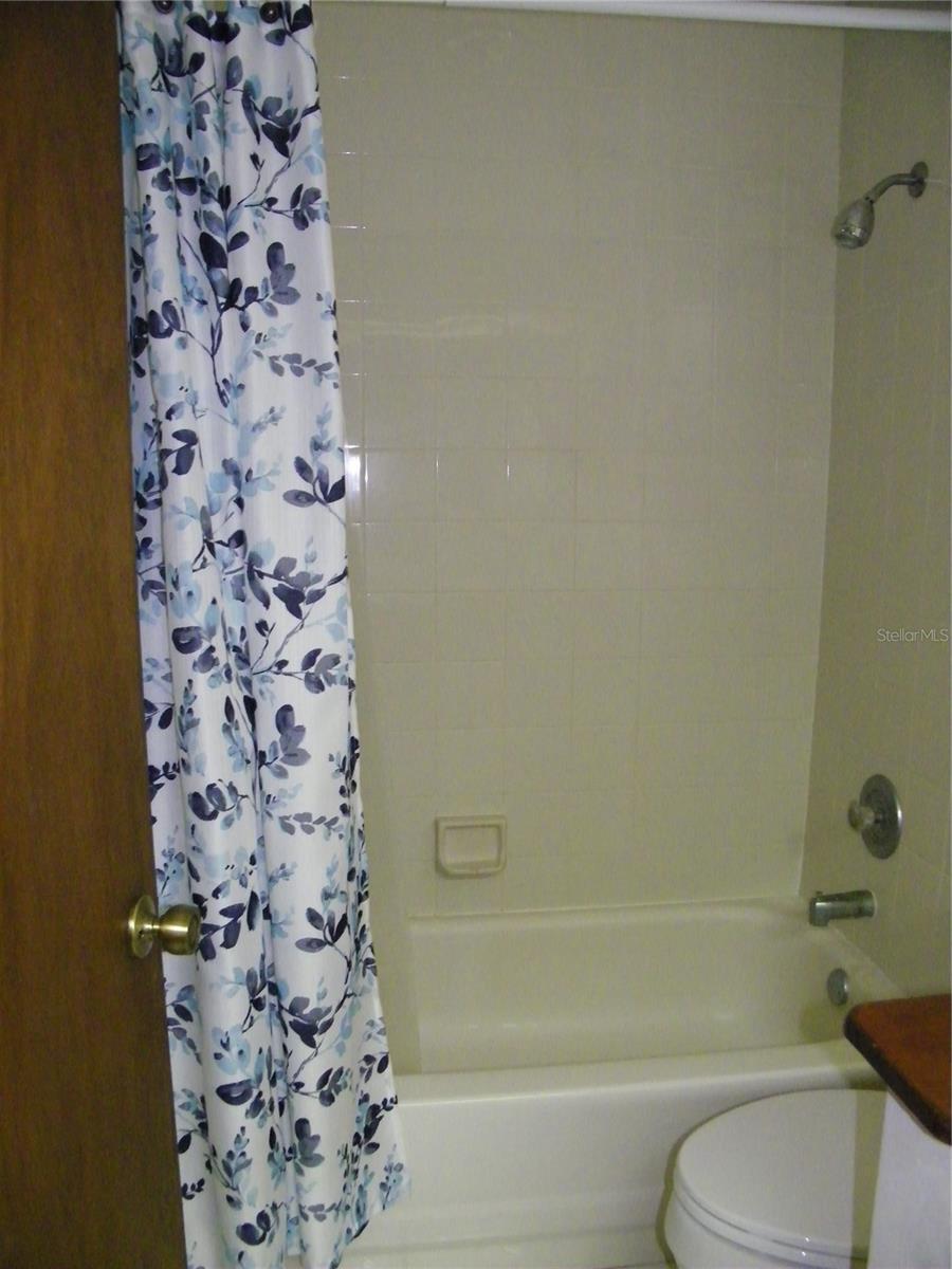 Hall Bathroom Tub