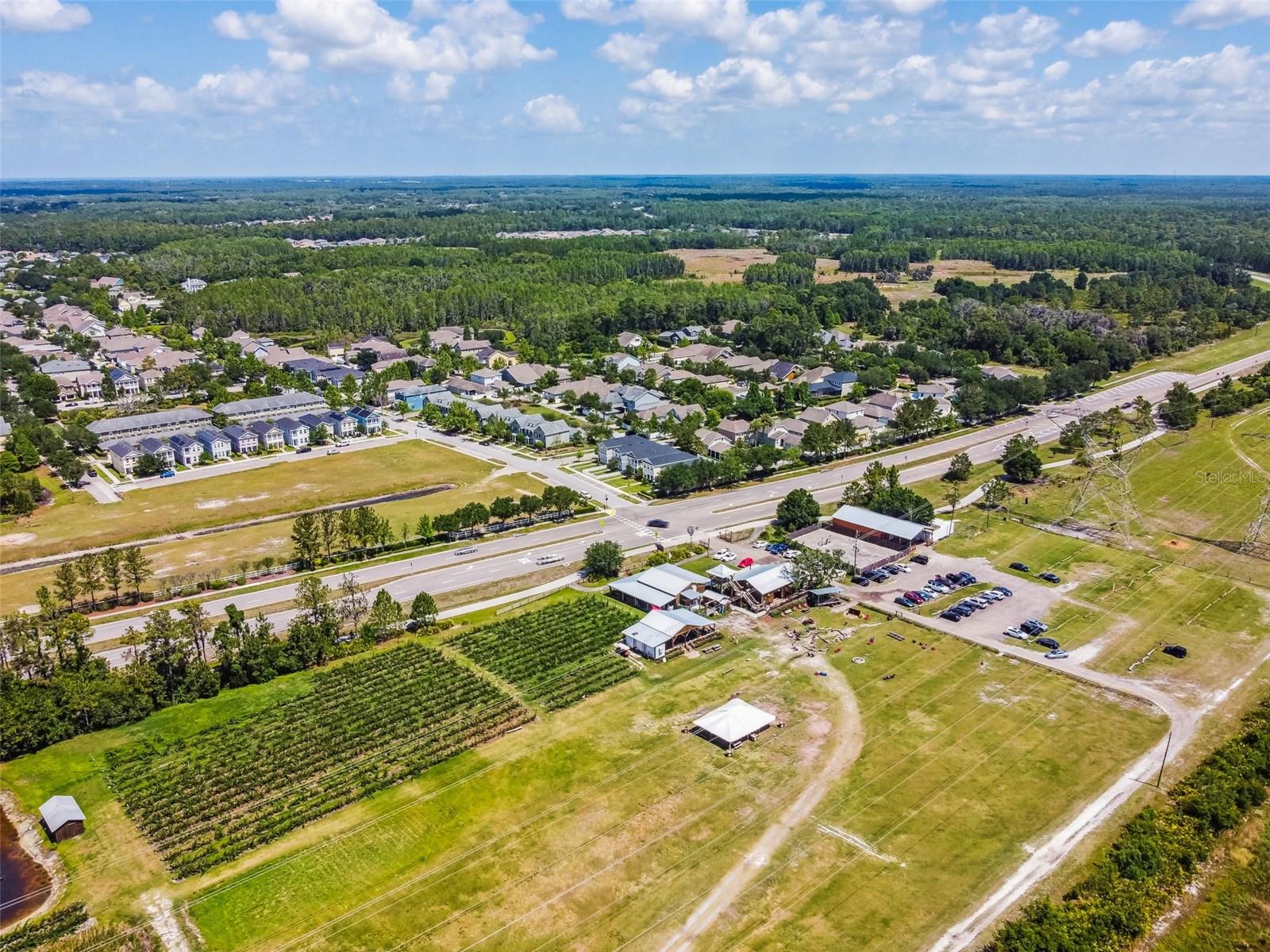 Local Starkey Market