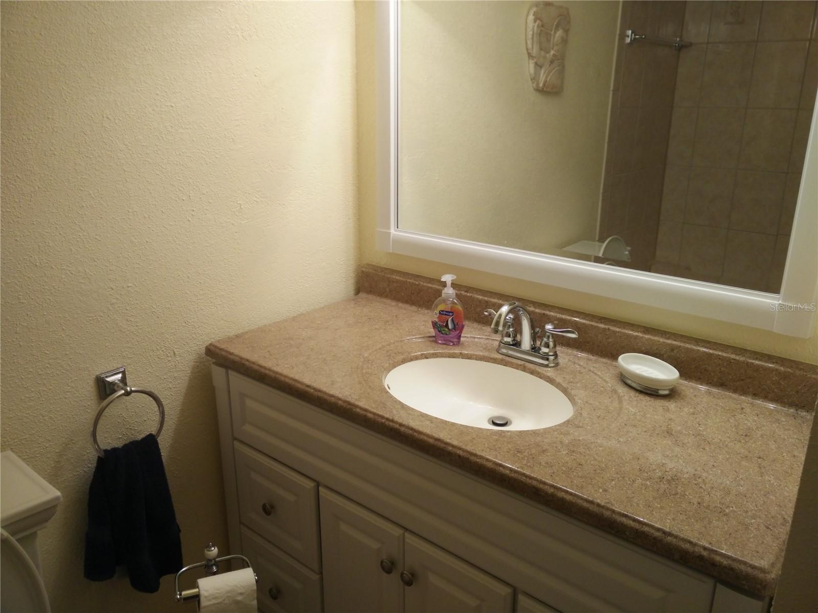 Guest Bathroom vanity