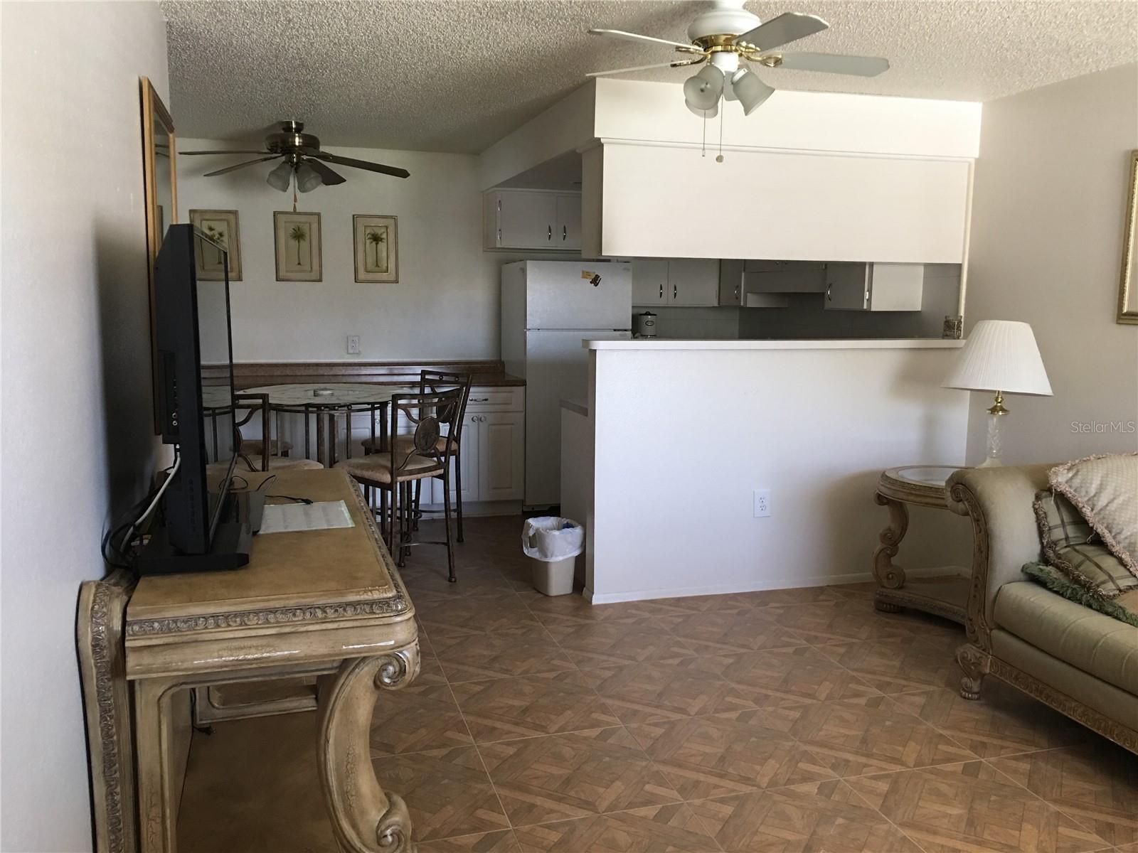 Living room/Kitchen view from entrance