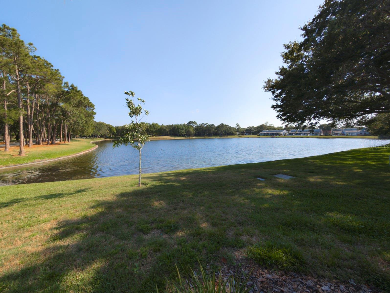 Ponds in the neighborhood