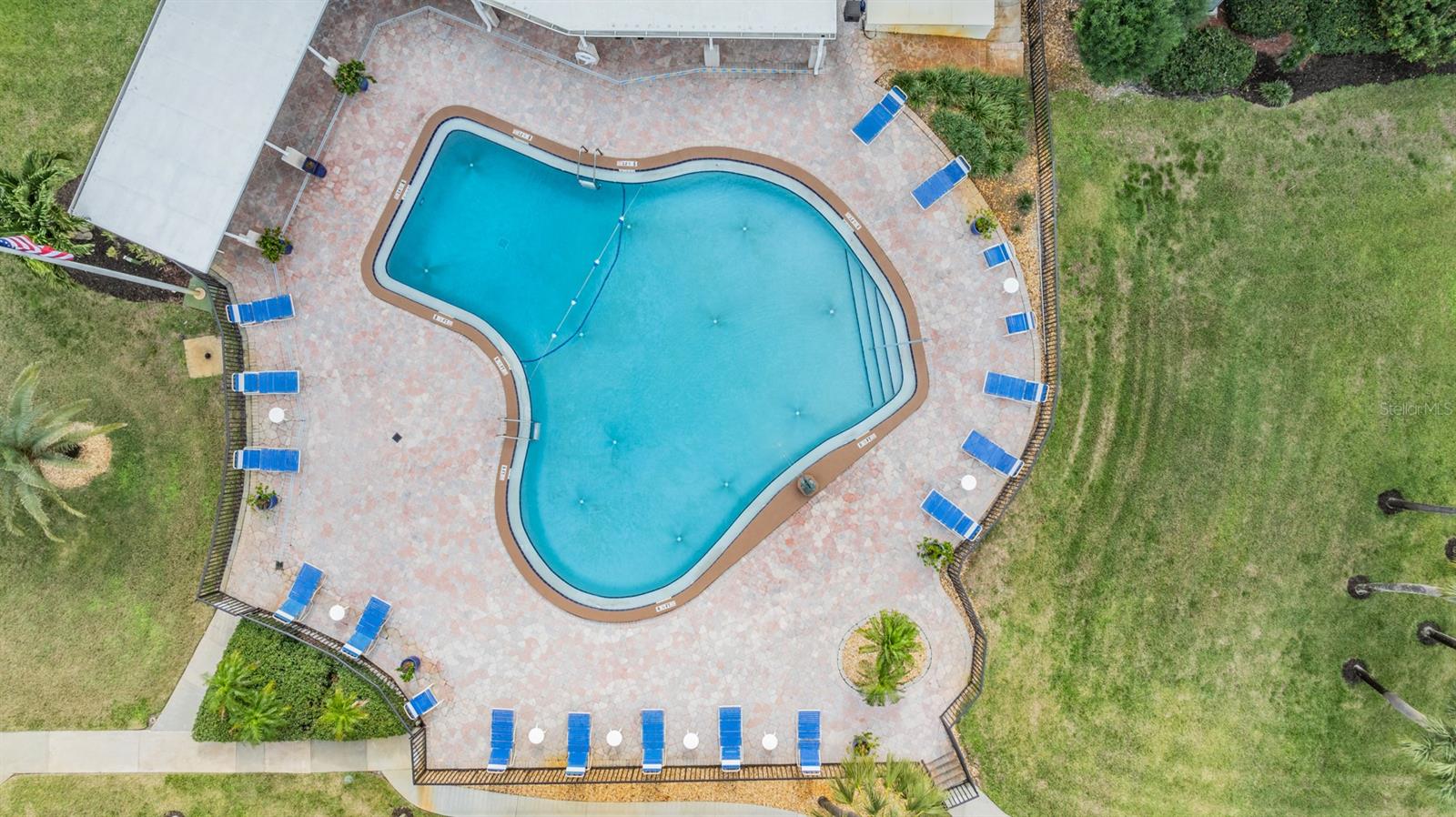 Views of the Swimming pool area