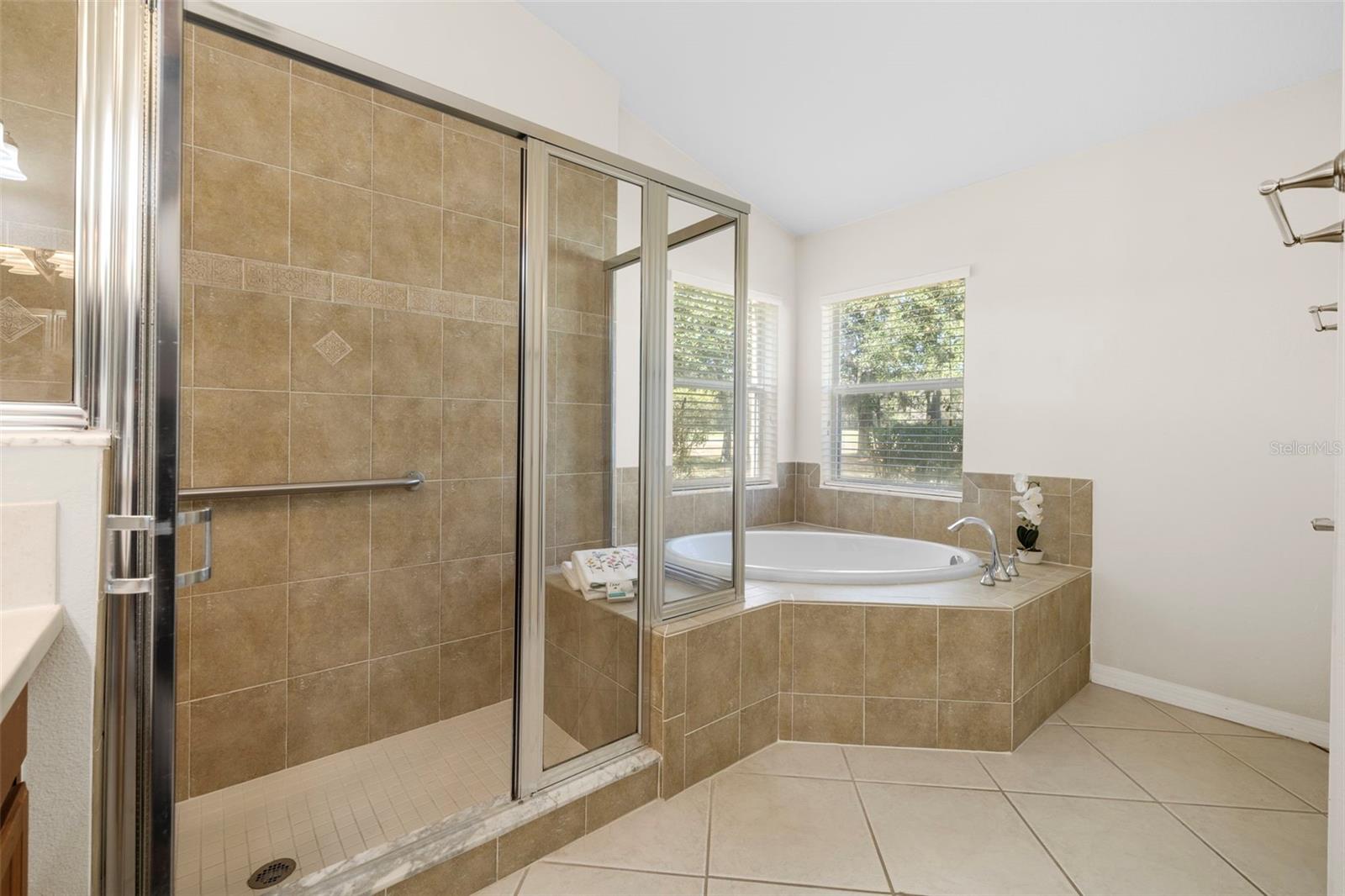 Luxurious tub in primary bath.