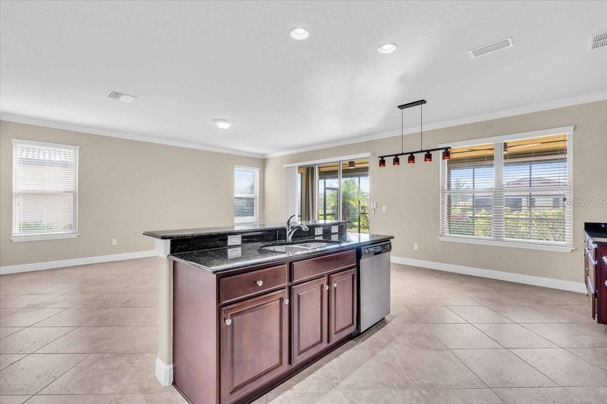 Kitchen Island Family Room View | 368 Cedar Falls DrApollo Beach, FL  33572