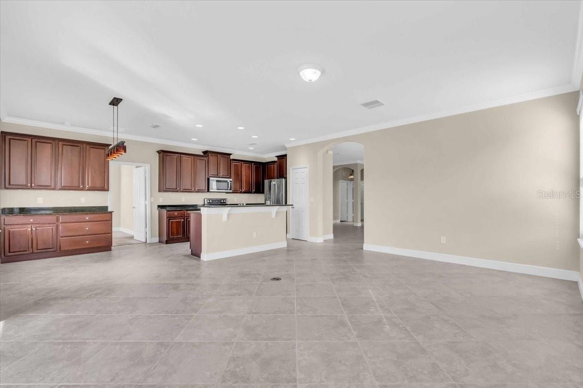 Kitchen View from Family Room | 368 Cedar Falls Dr, Apollo Beach, FL  33572