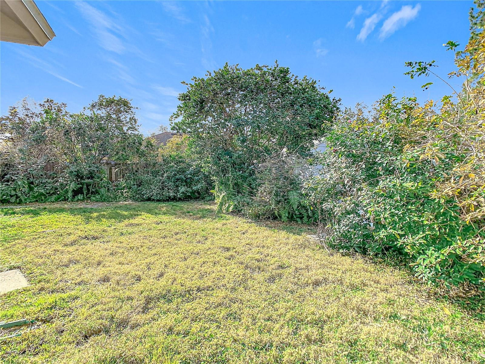 Fenced Backyard