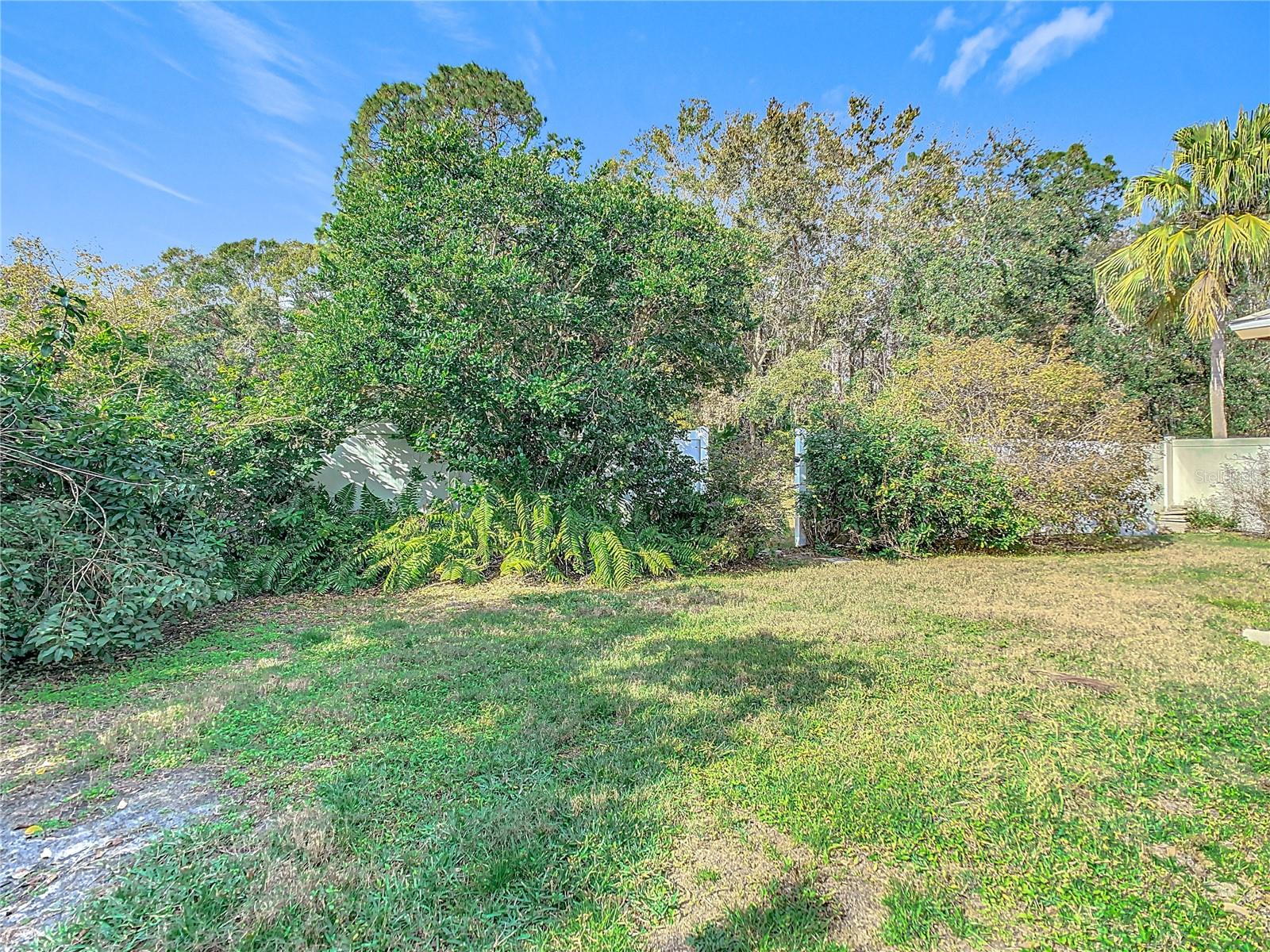 Fenced Backyard / Gate Open