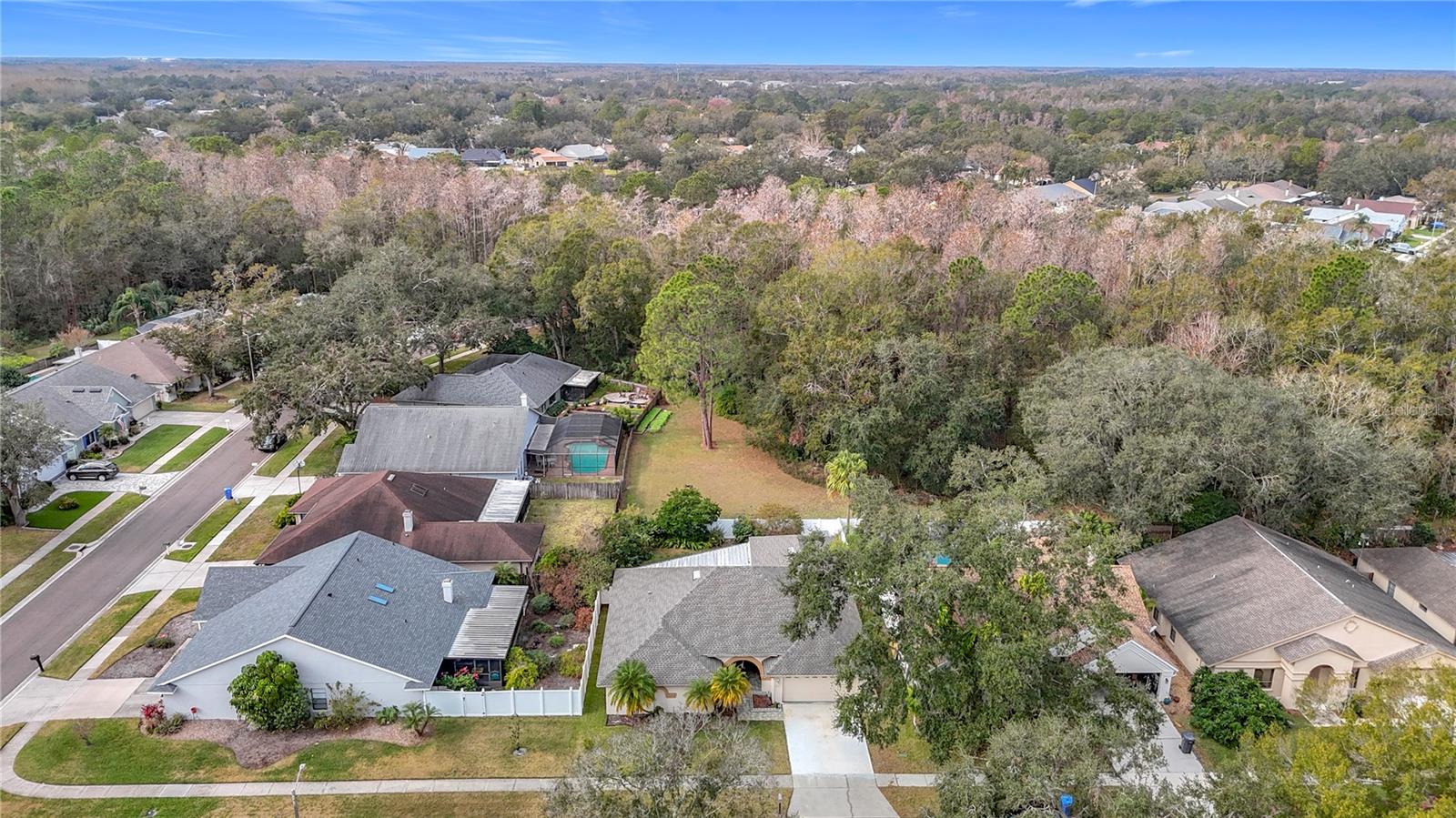 Aerial View / Conservation Lot