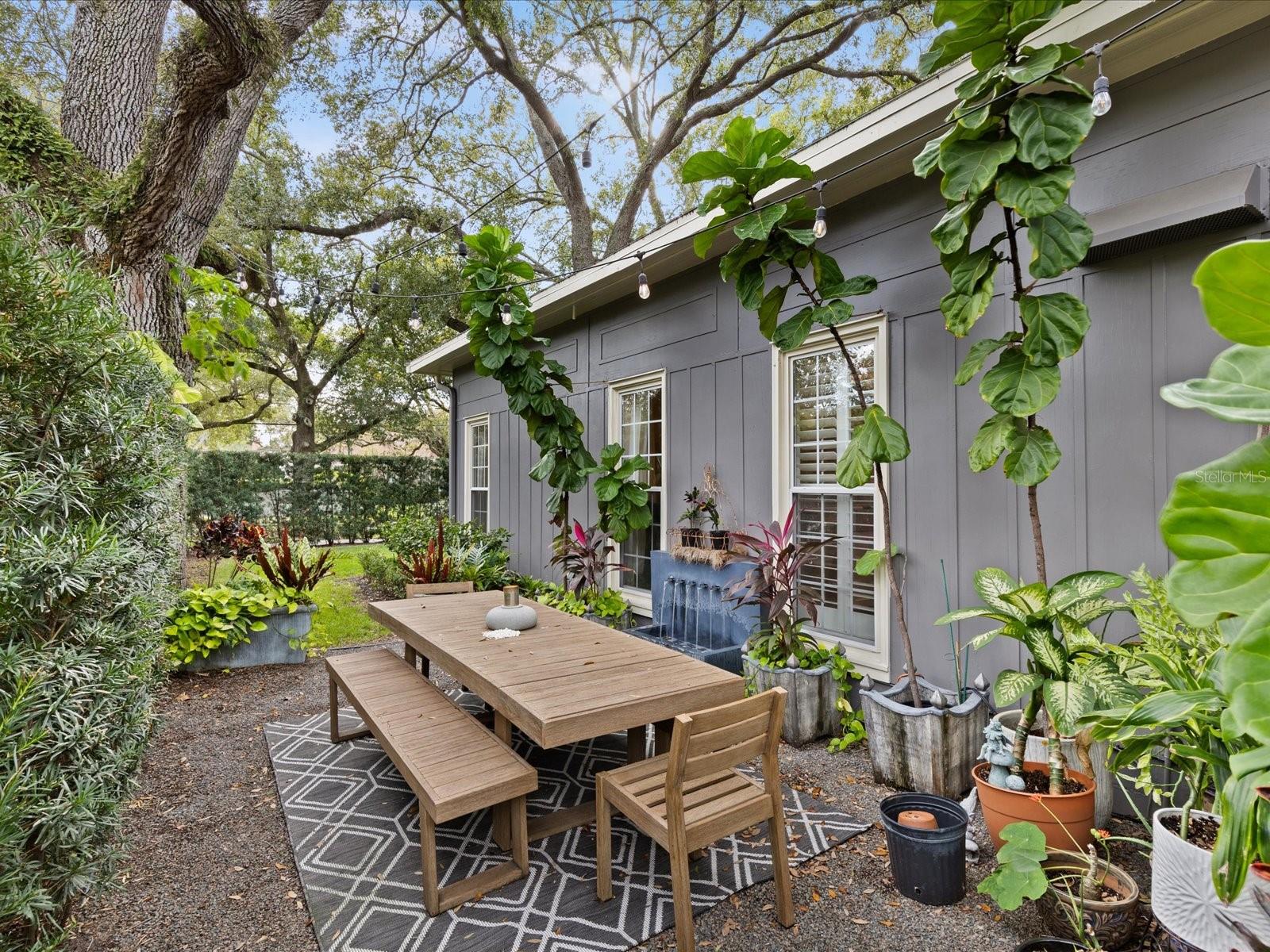 Side yard entertaining space