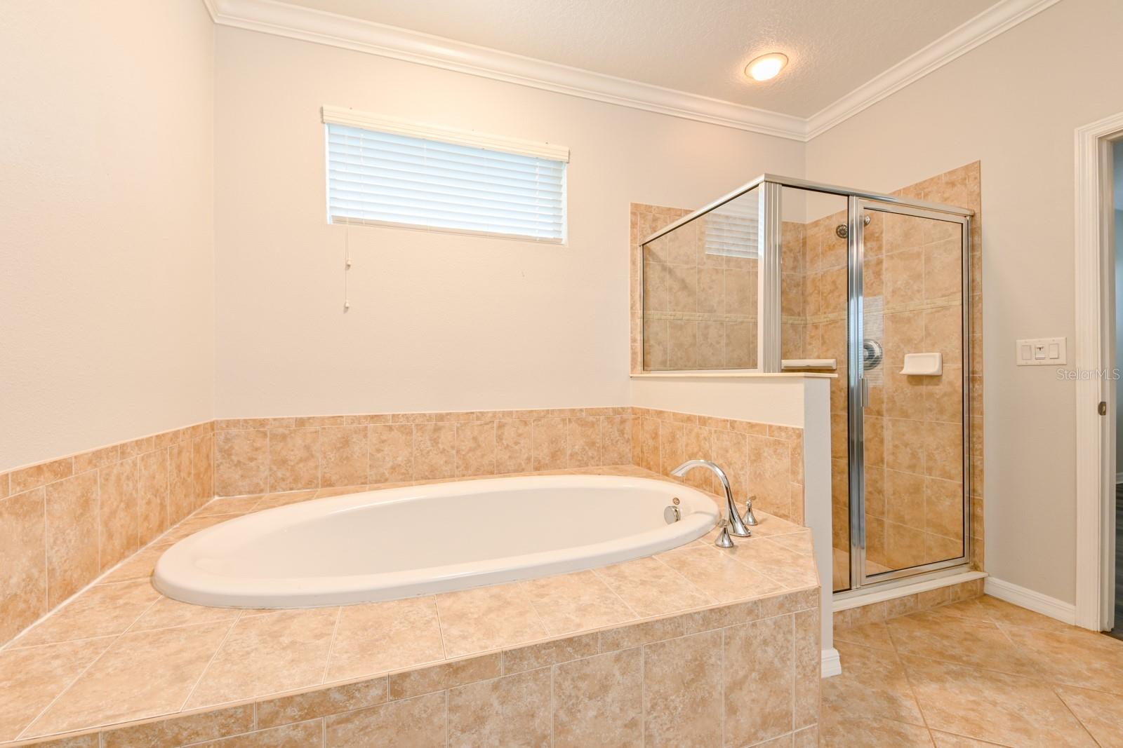 Soaker Tub and Walk-in Shower