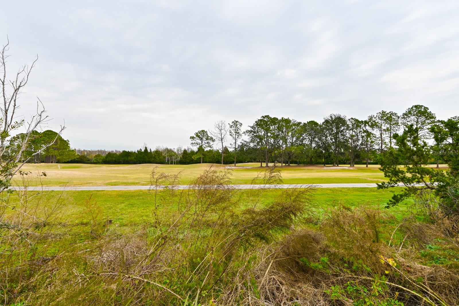 Beautiful Golf Course Views