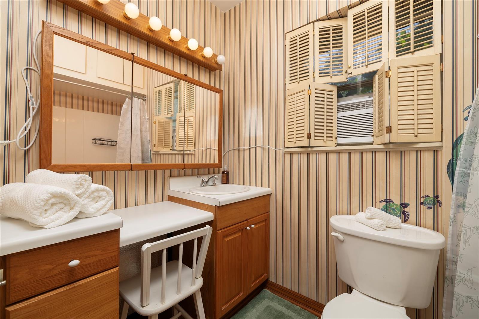 In-law suite bathroom