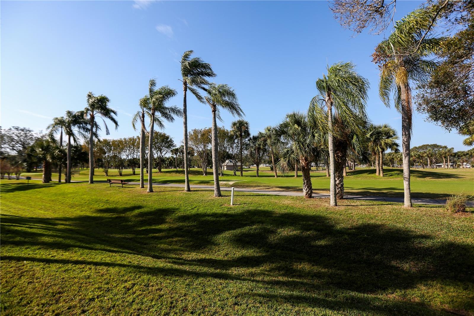 View from the Patio