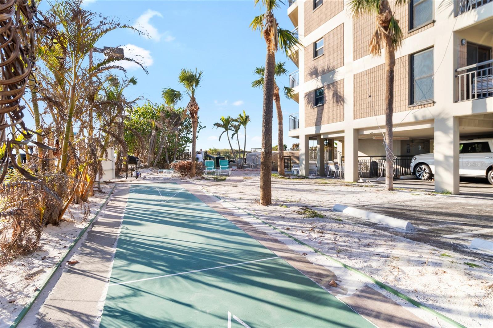 Shuffleboard Court