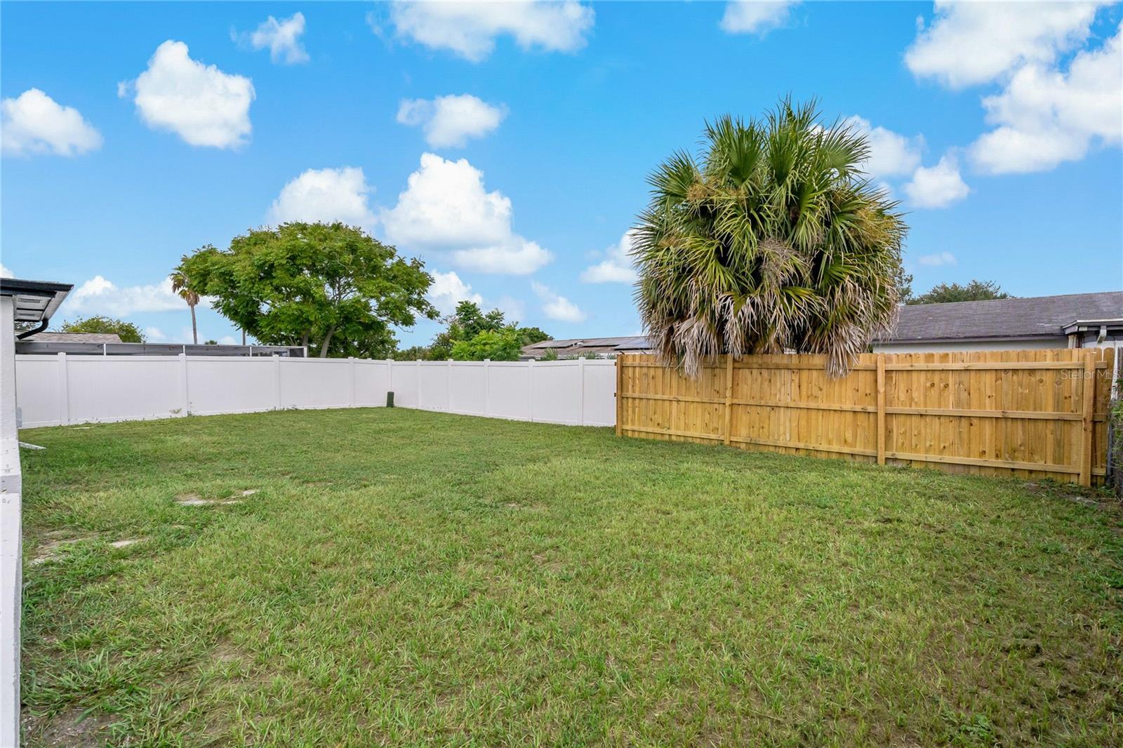 Spacious Backyard