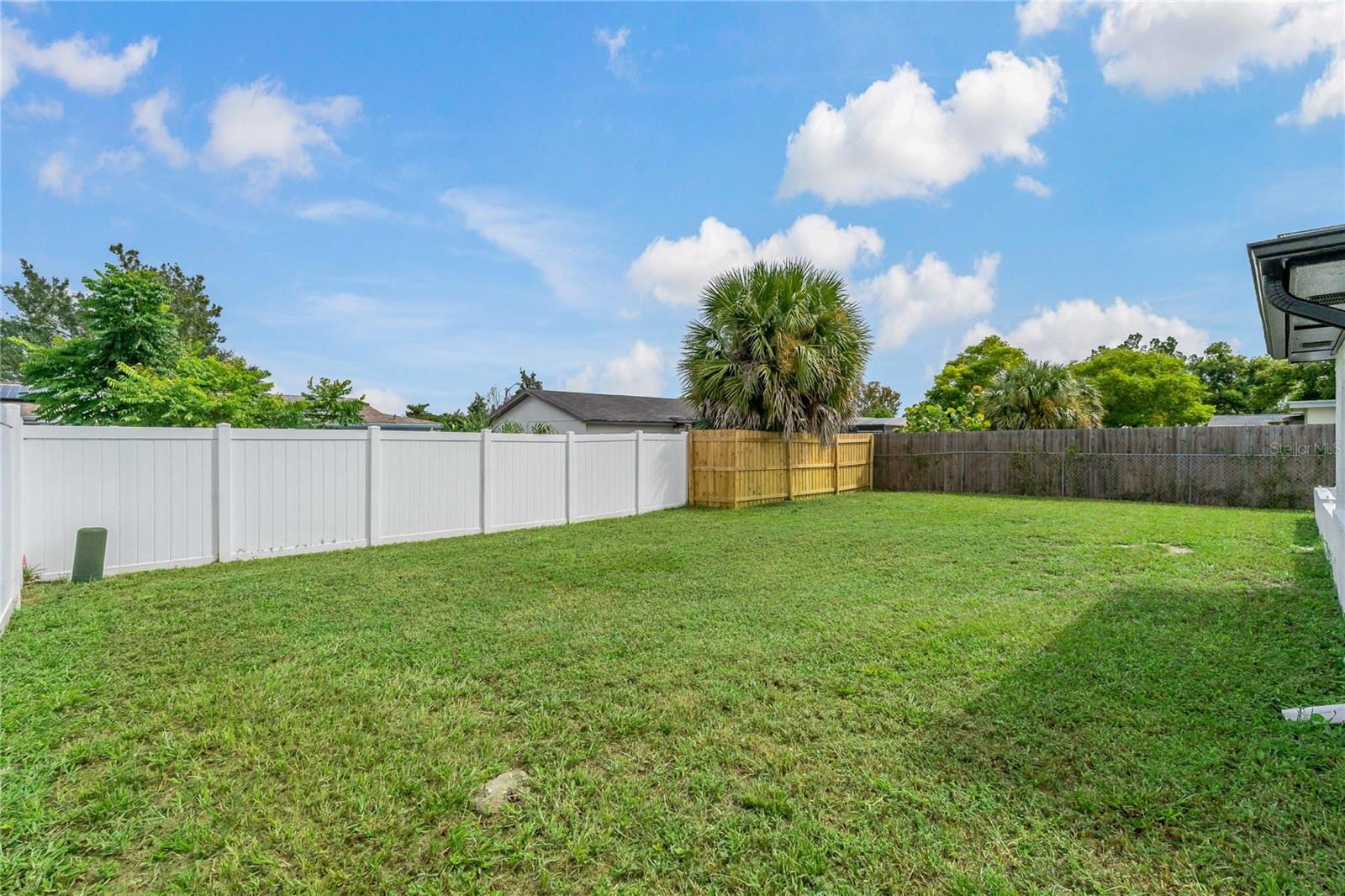 Spacious Backyard