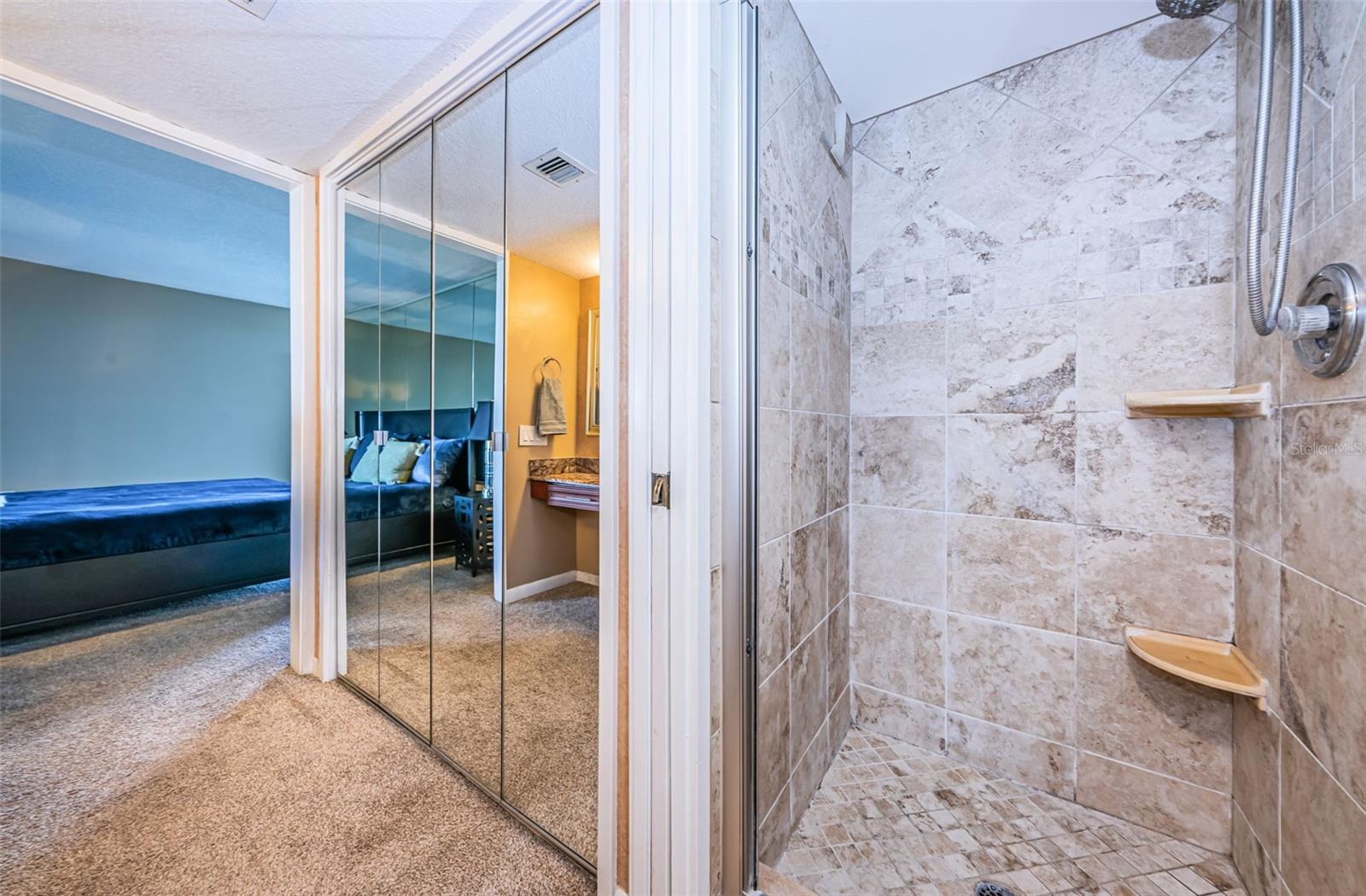 Primary Bathroom-walk-in tiled shower.