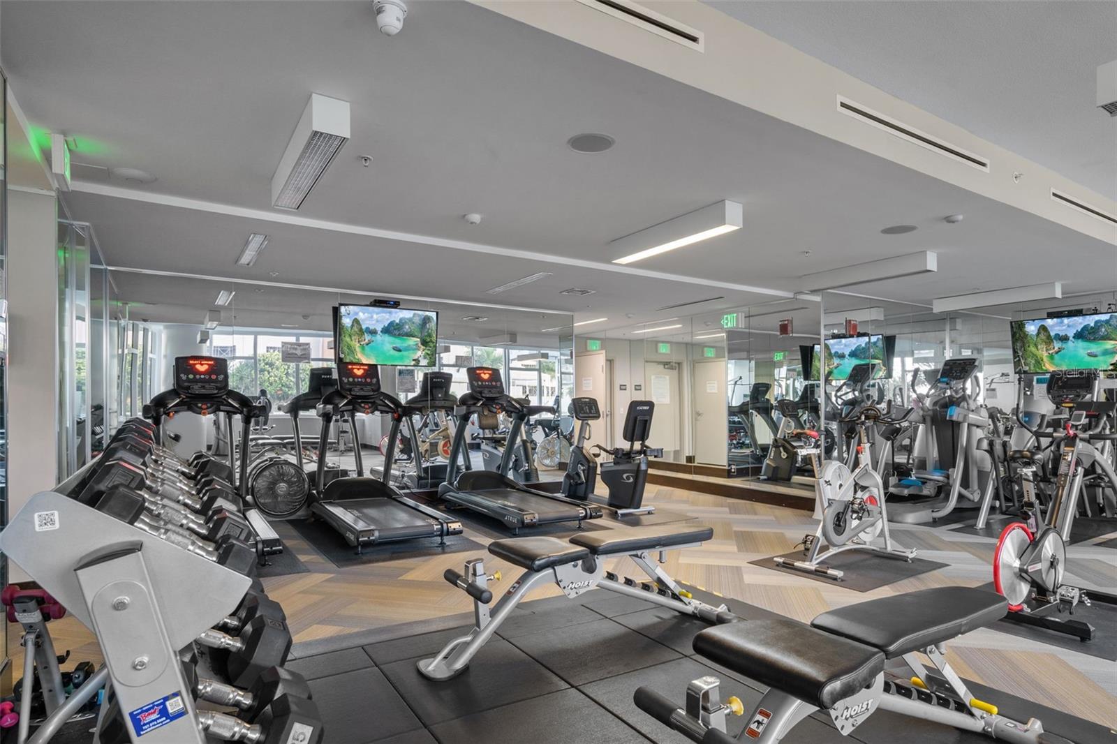 There are plenty of free weights and cardio equipment in the fitness center.