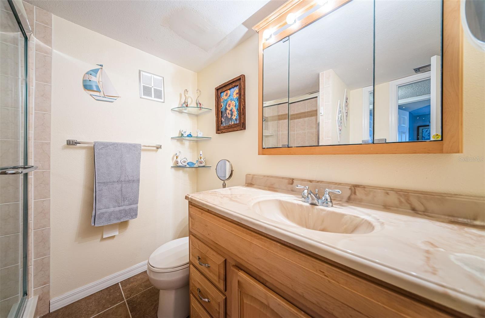 Guest Bathroom with walk-in shower