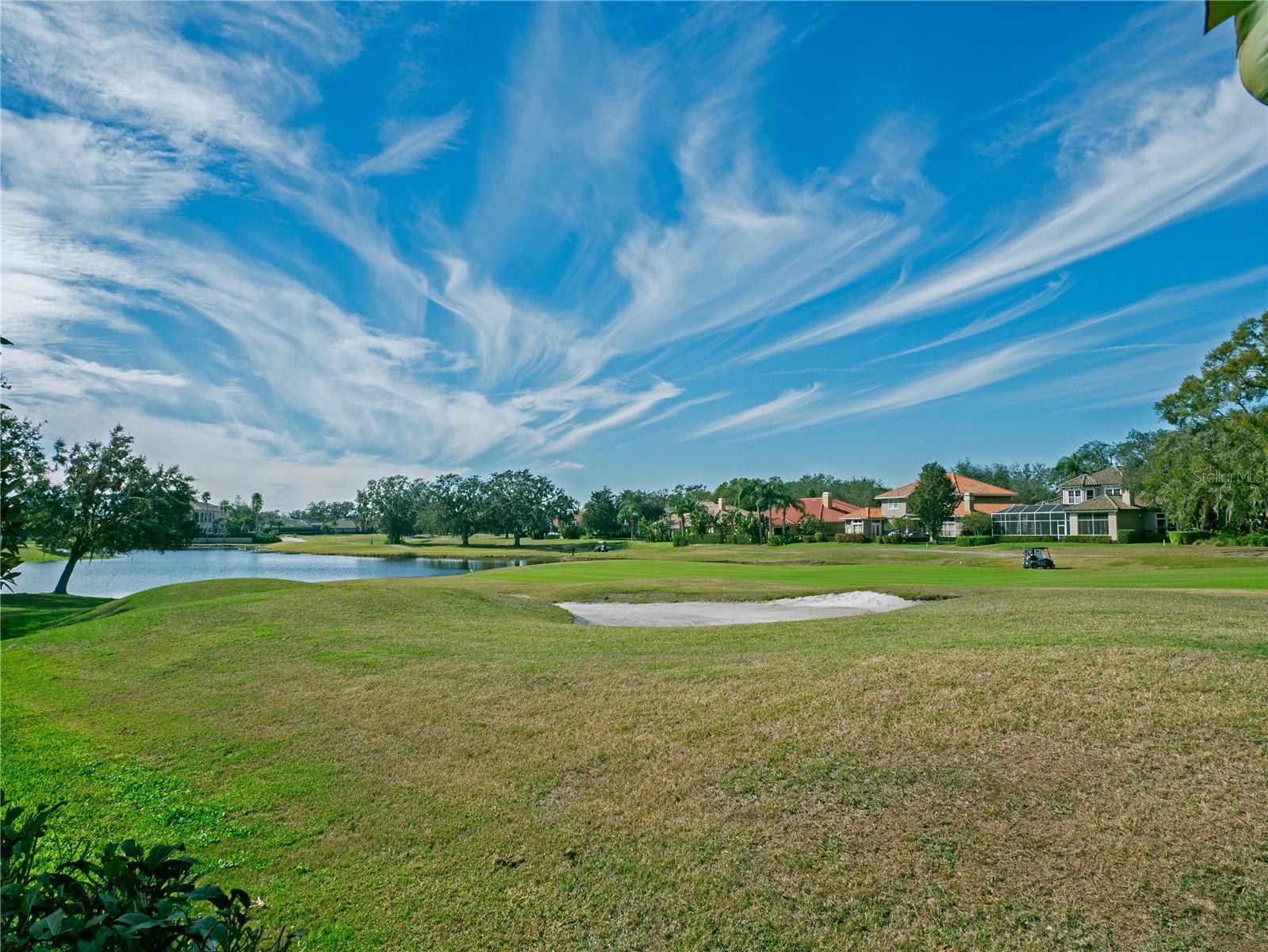 View From Backyard