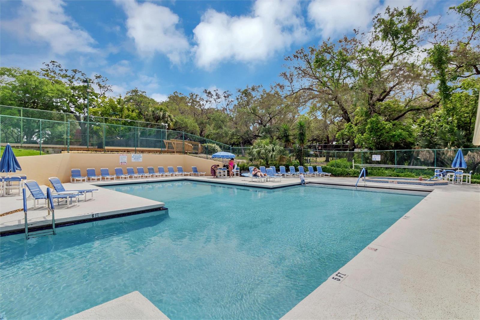 Heated Pool and spa